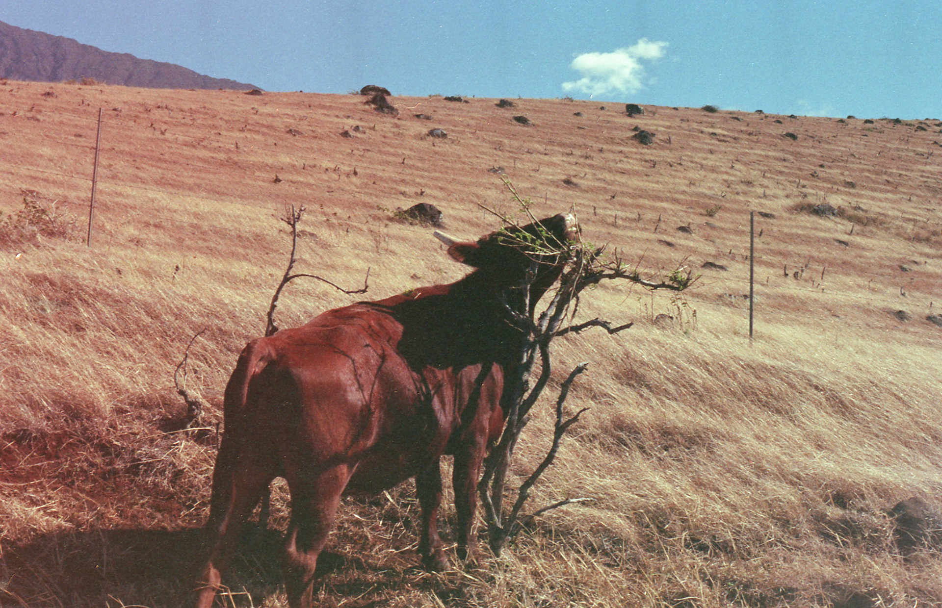 35mm