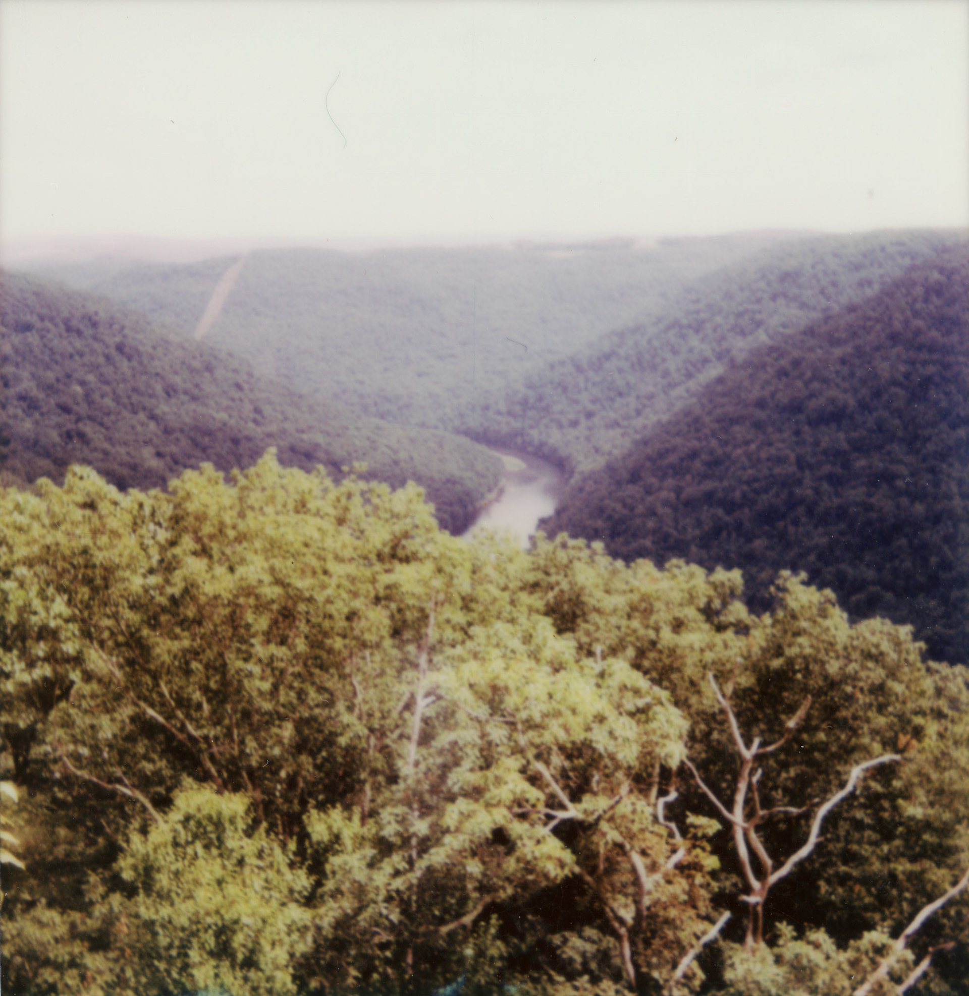Polaroid 600 film - Seneca Rocks in October