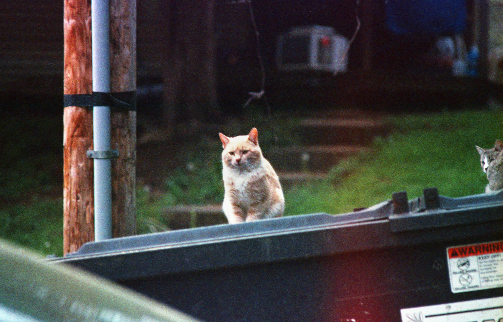 35mm