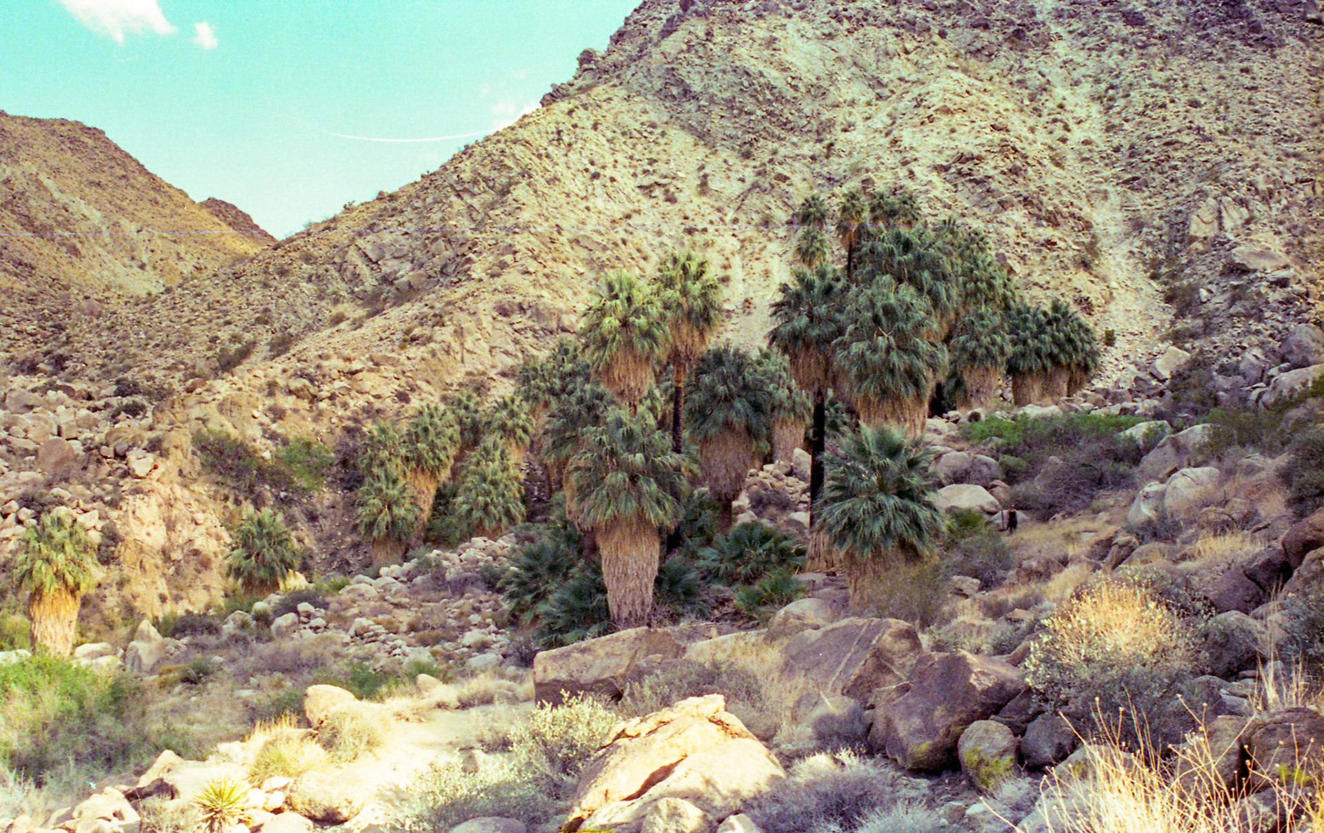 35mm