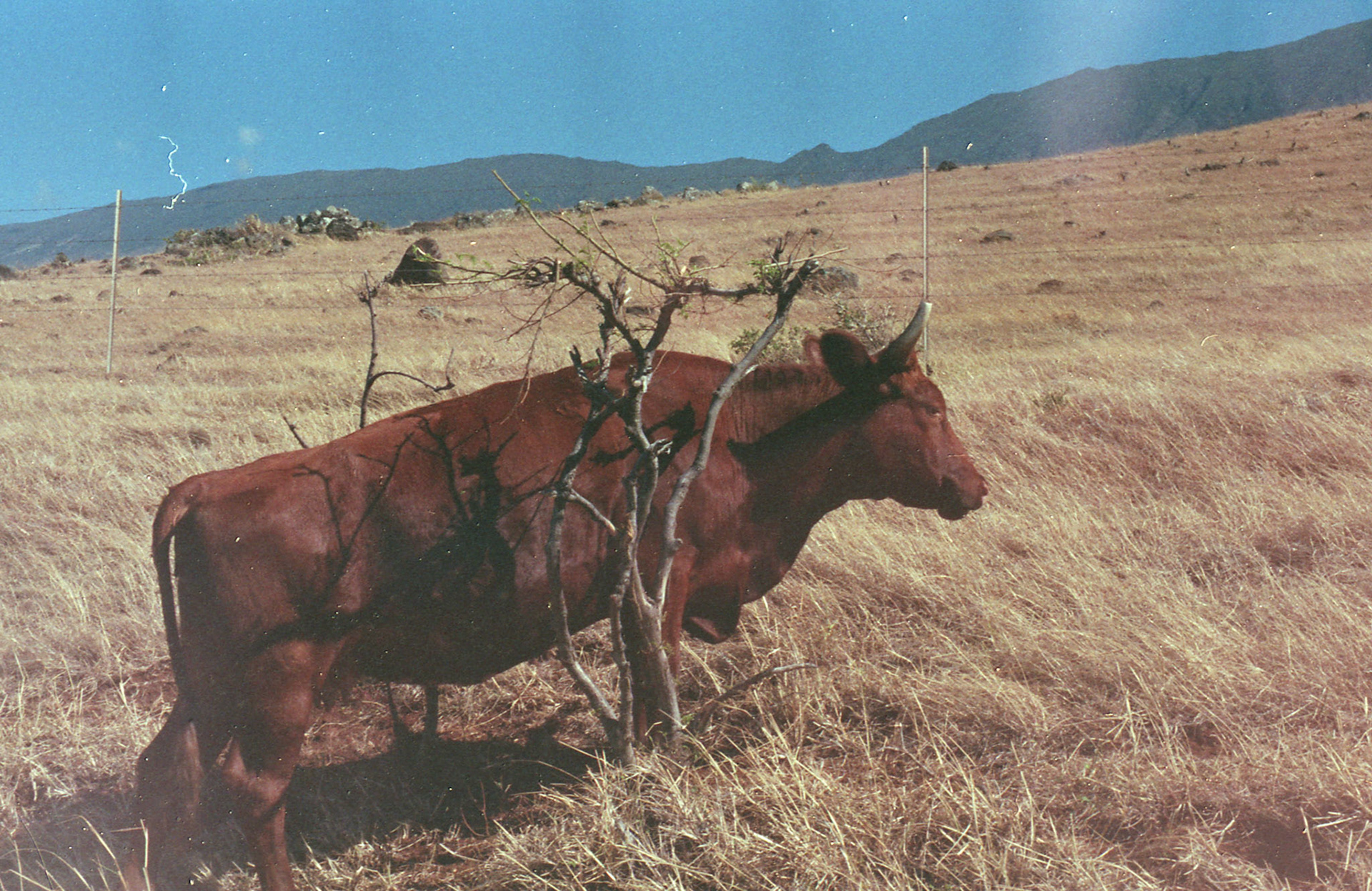 35mm