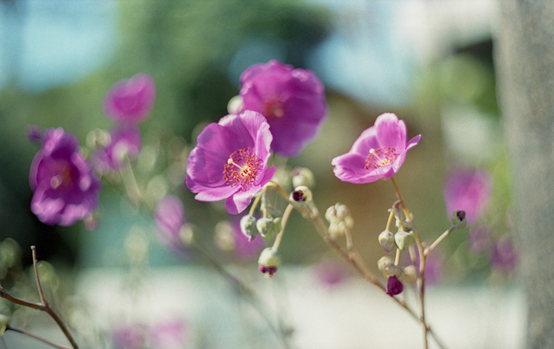 35mm