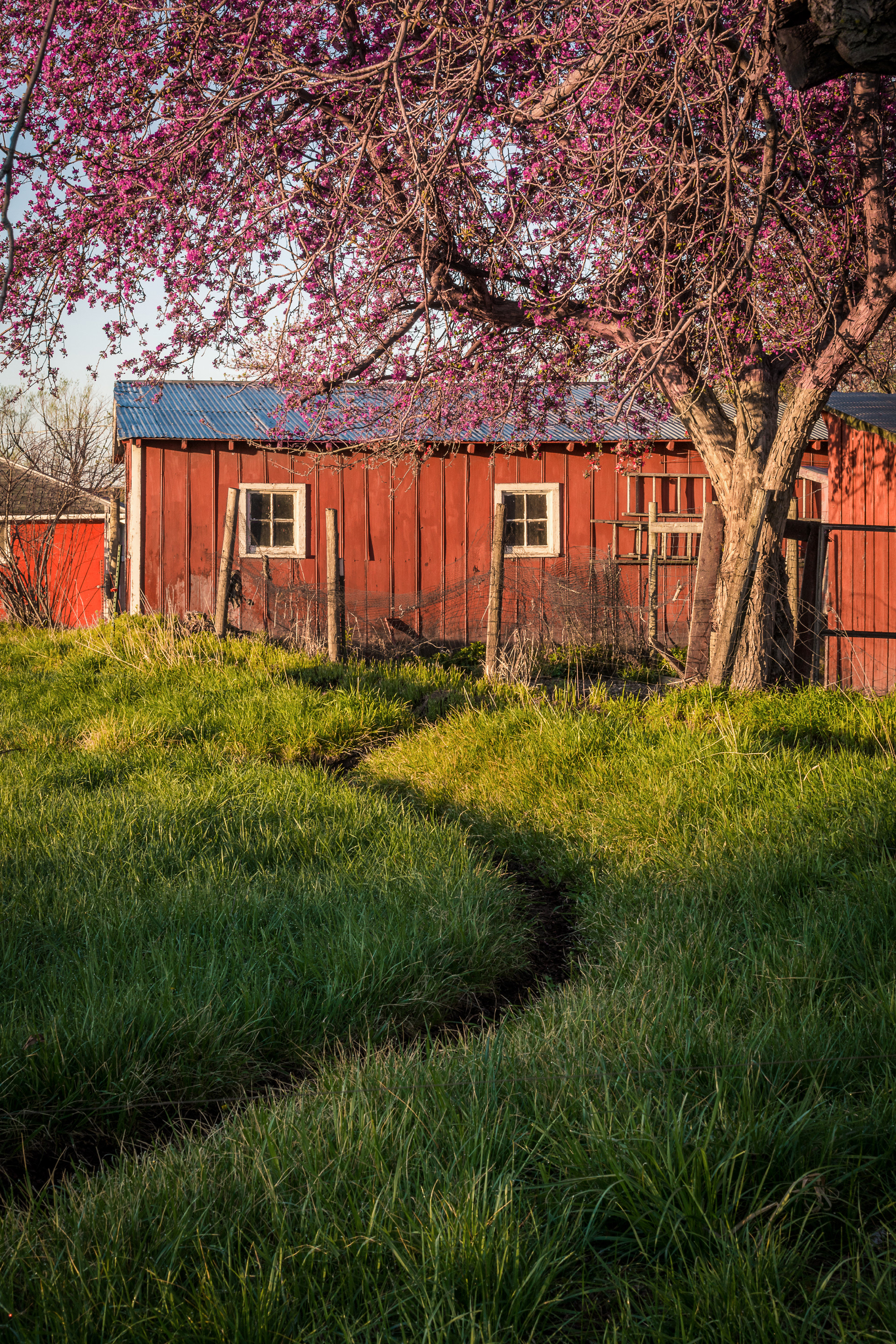 "Springtime Sinuousity" - Boulder County, Colorado
