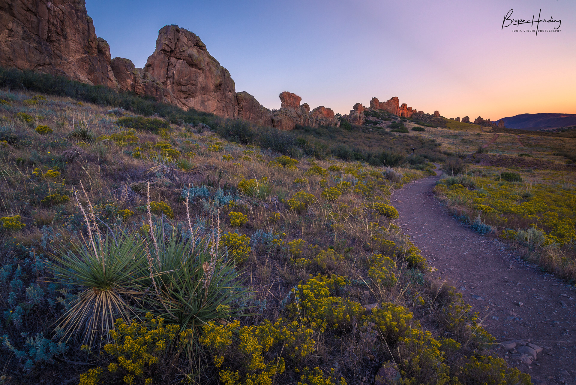 "Devilish Details" - Devil's Backbone Open Space - Larimer County, Colorado