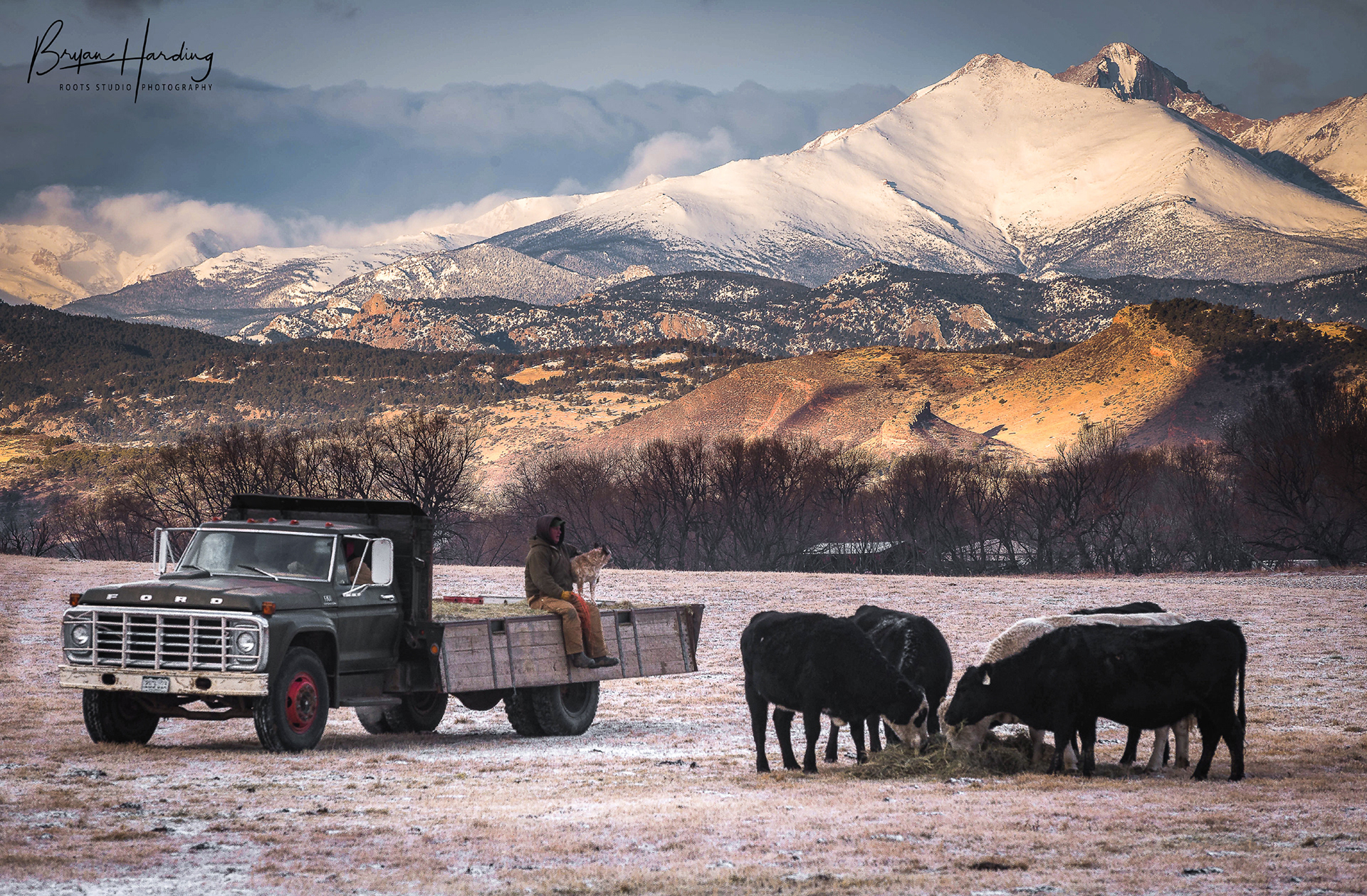 "Man's Best Friend(s)" - Boulder County, Colorado