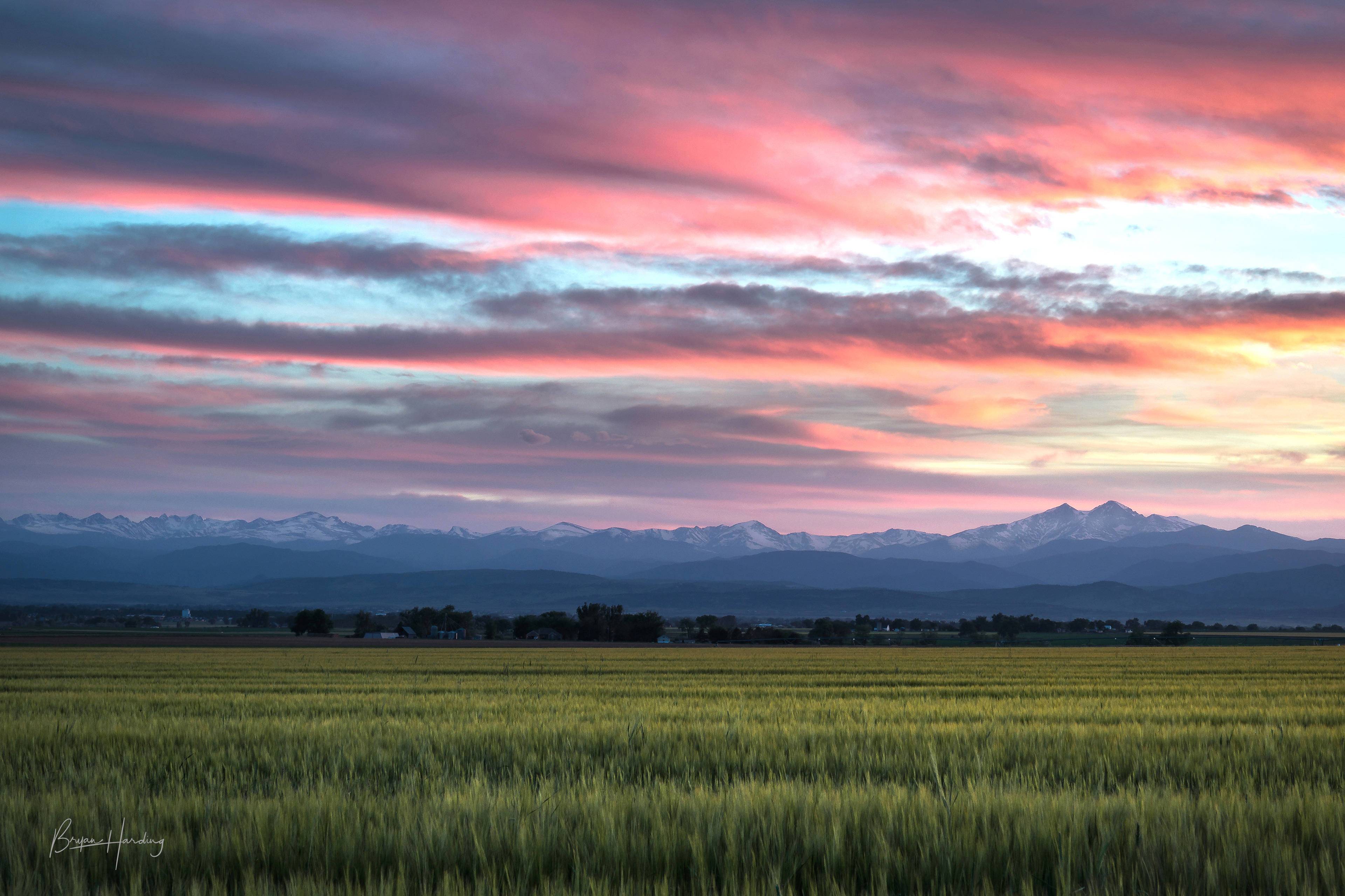 "Purple Mountain Majesties" - Larimer County, Colorado