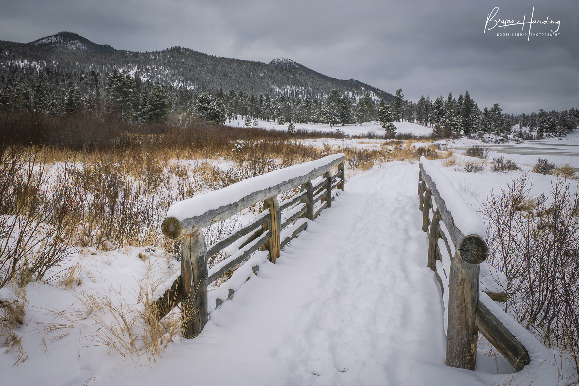 "The Little Bridge on Lilly Lake" - Lilly Lake - Rocky Mountain National Park, Colorado