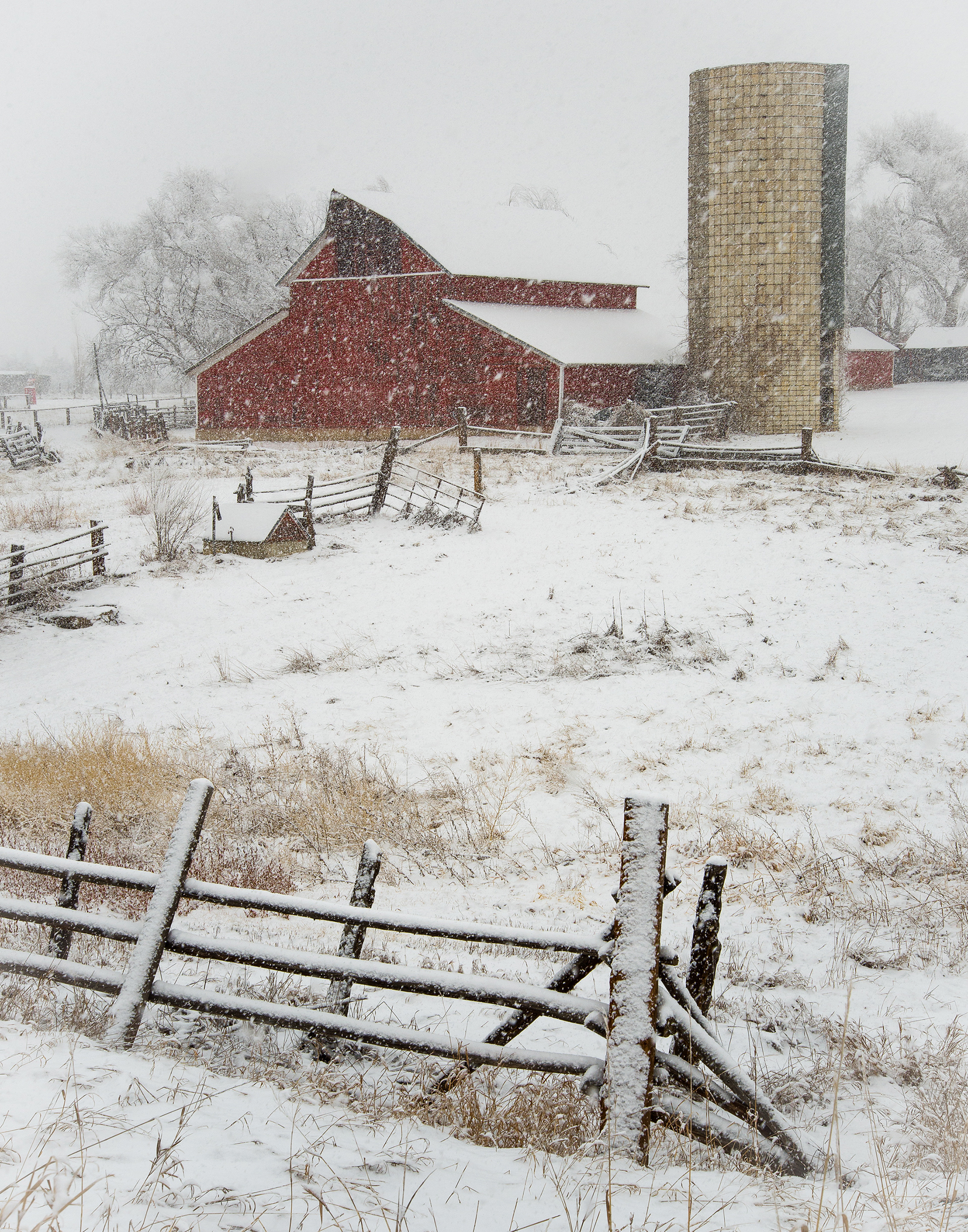 "Winter on the High Plains" - Larimer County, Colorado