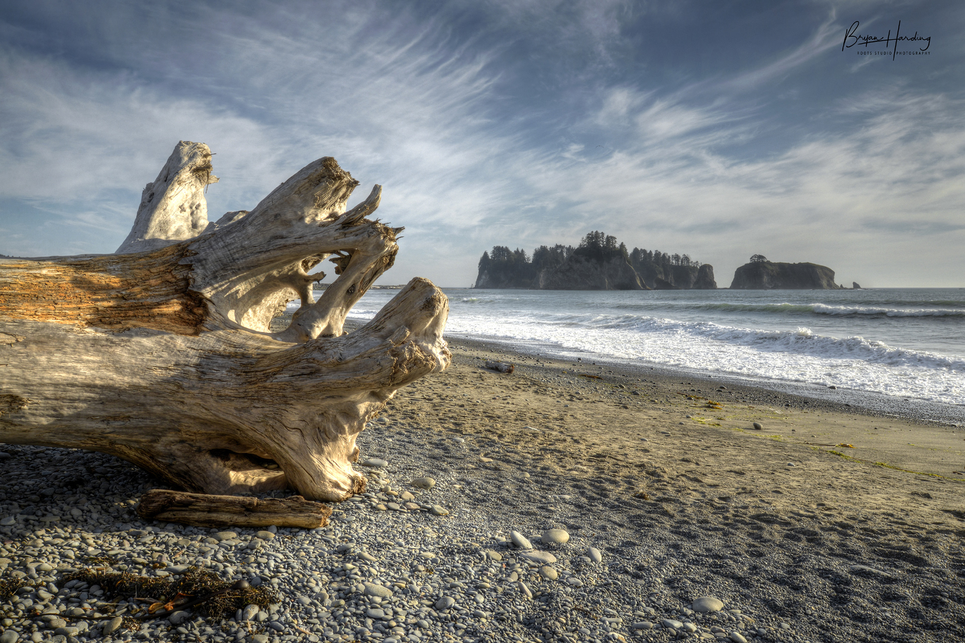 "Driftwood Daydream" - Rialto Beach - Olympic National Park, Washington