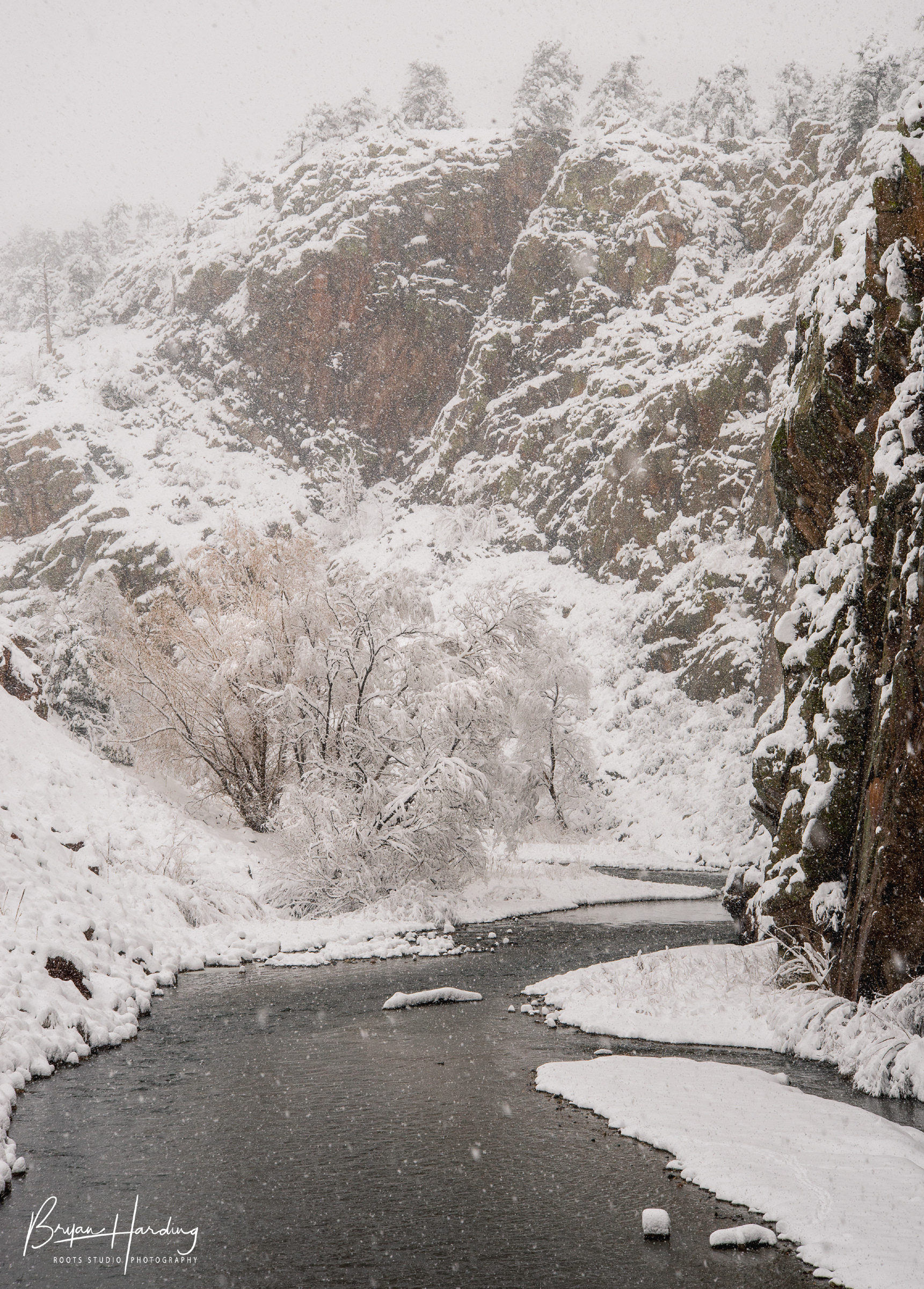 "Spring Snow in the Canyon" - Big Thompson River - Larimer County, Colorado