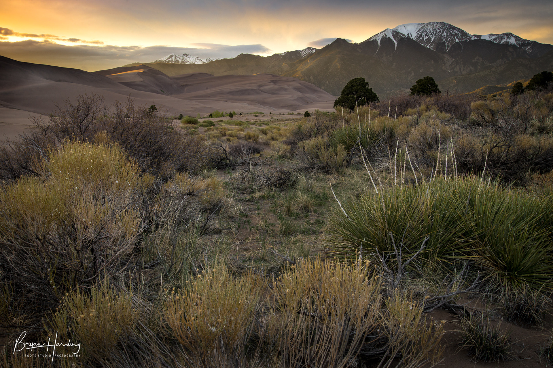 "Sand Dune Solitude" - Great Sand Dunes National Park, Colorado