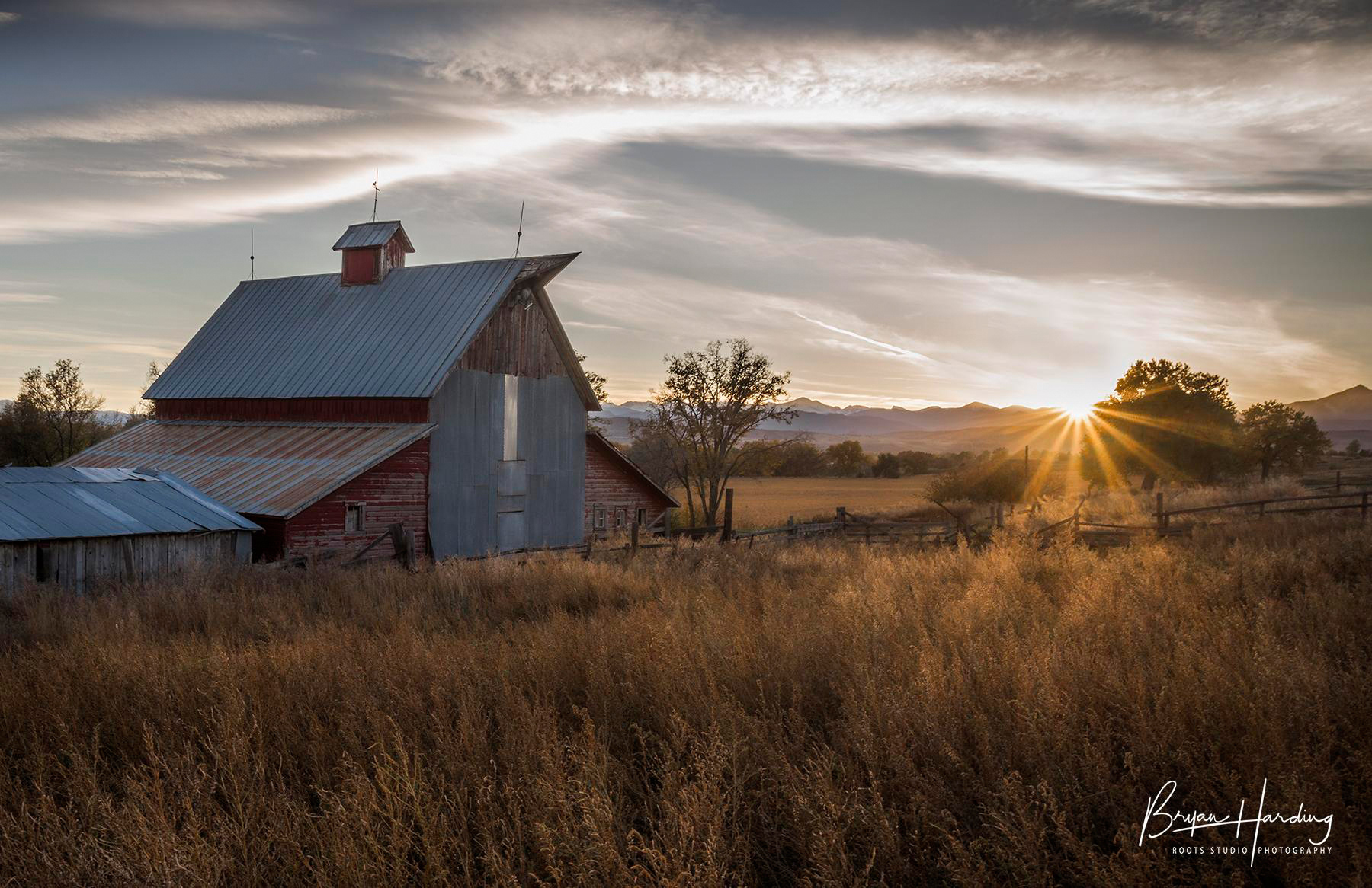 "Autumn's Last Rays" - Larimer County, Colorado