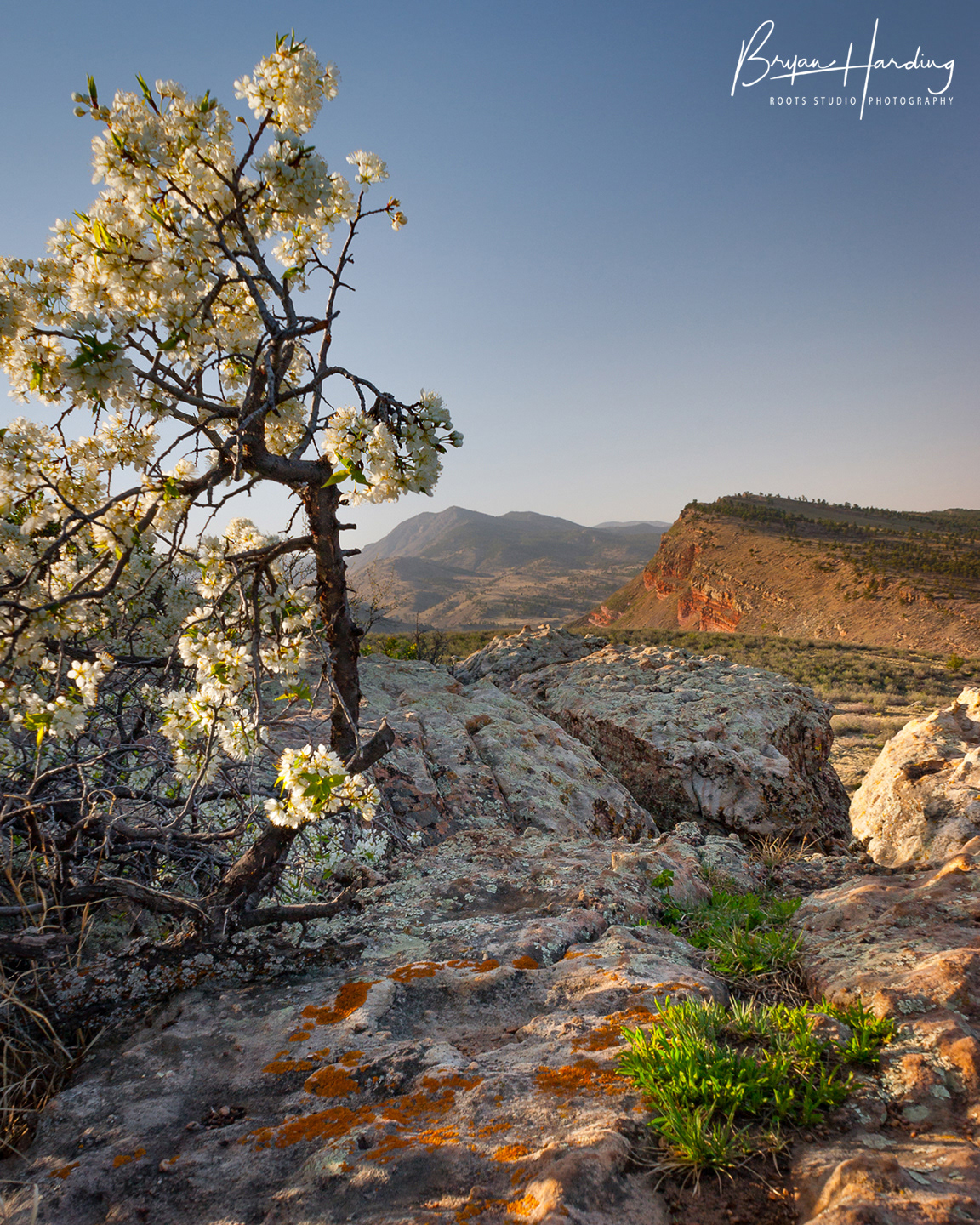 "Little Thompson Valley from Rabbit Mountain" - Boulder County, Colorado