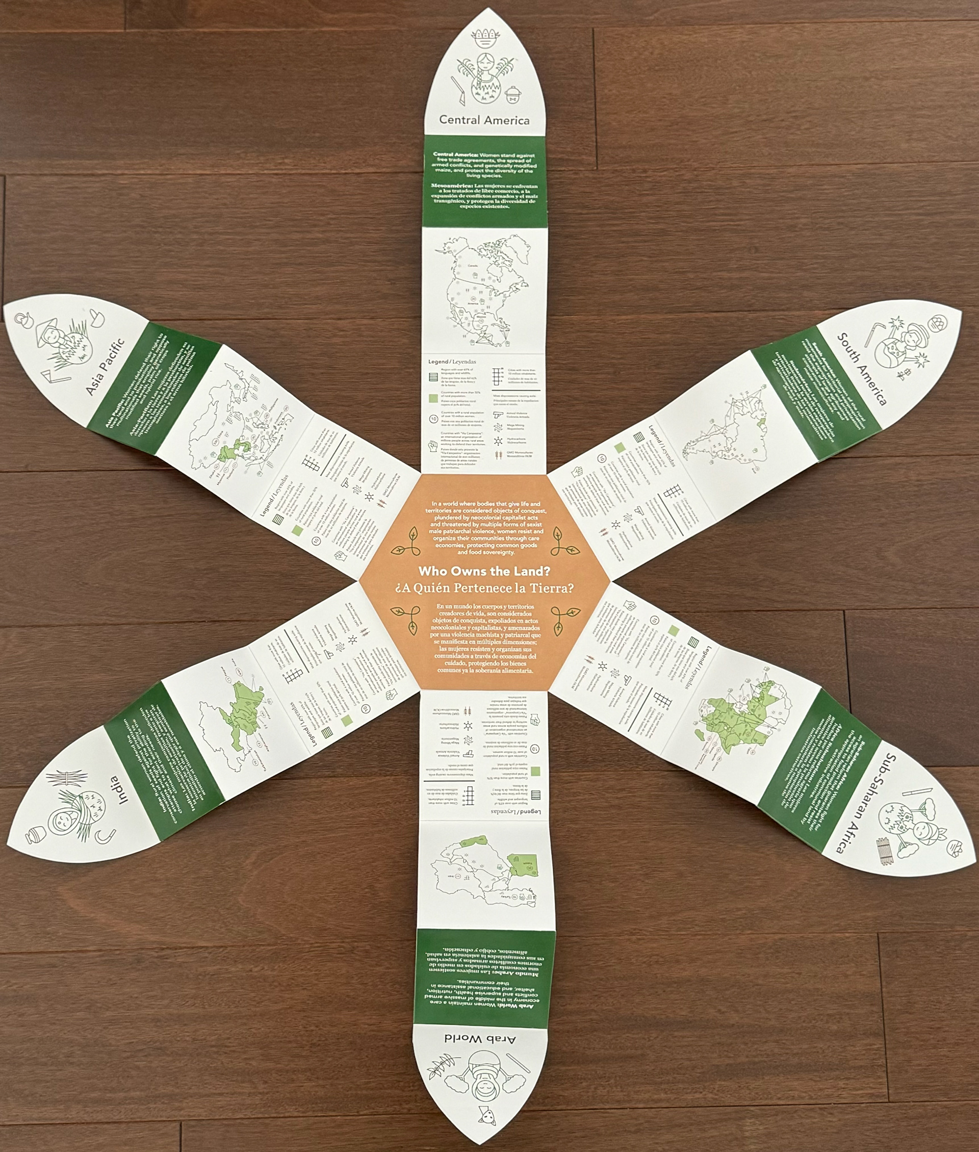Opened Flower Accordion (Front Side)