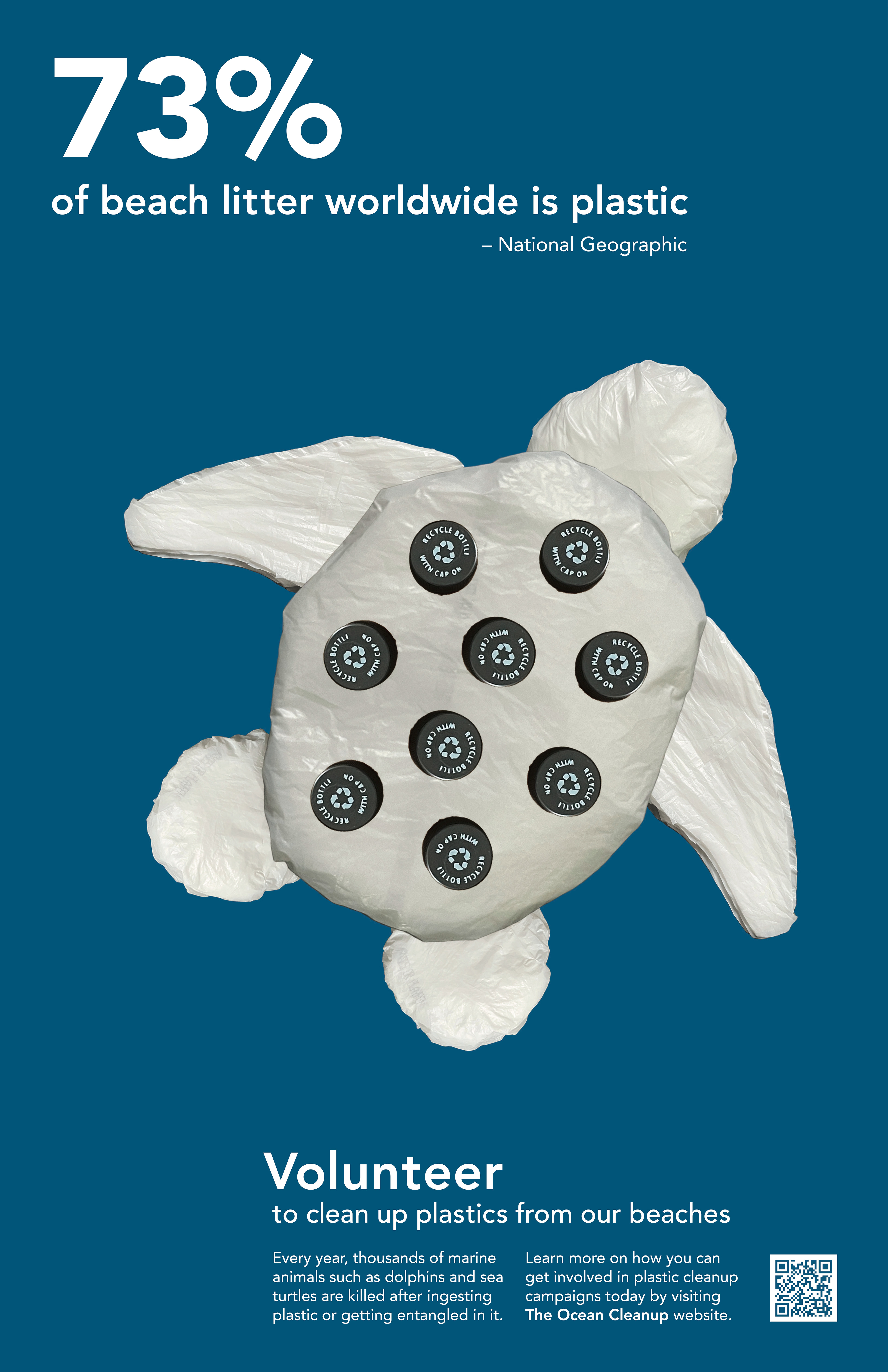 Plastic Turtle Poster