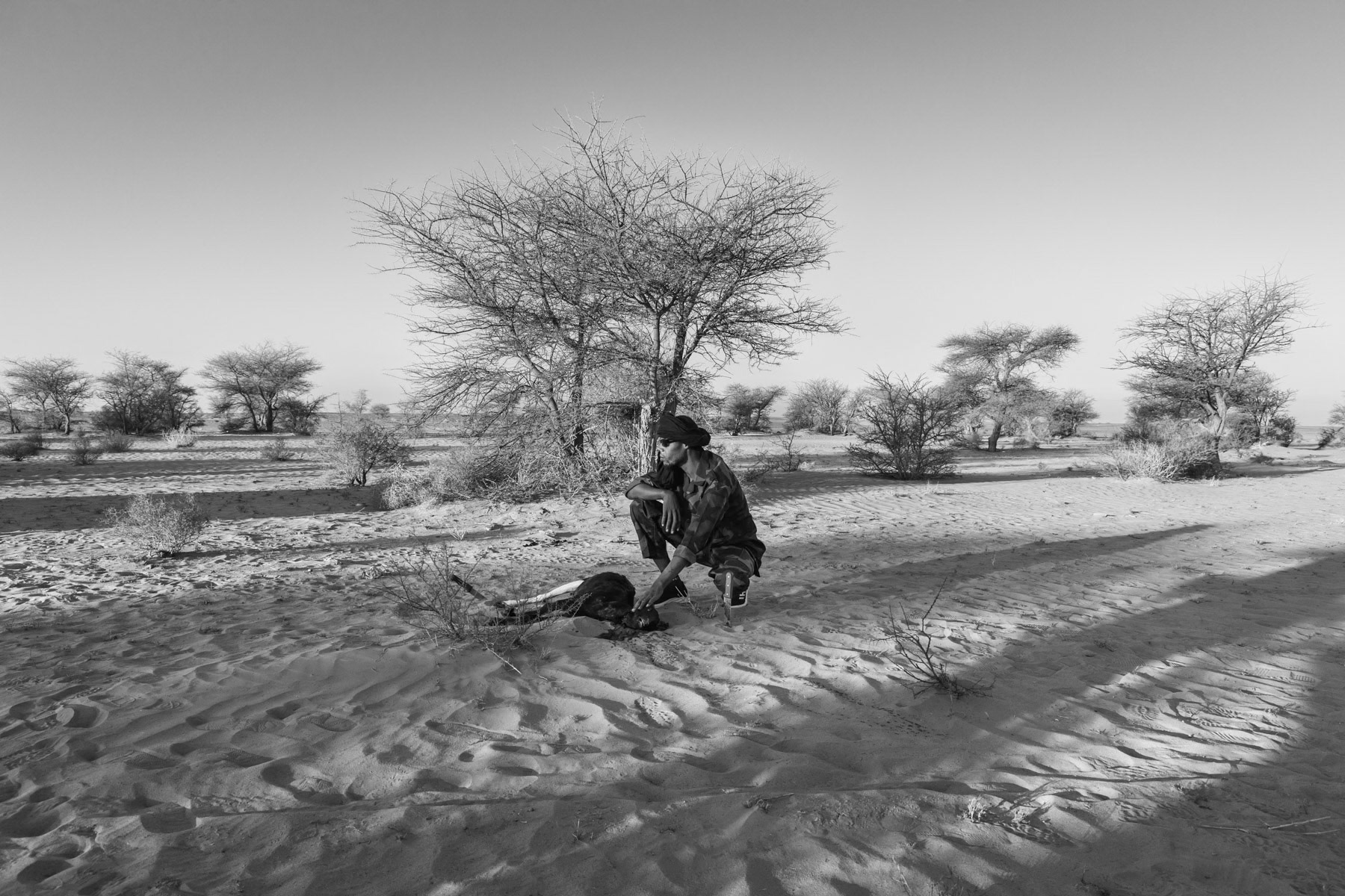 A Sahrawi soldier and a slaughtered goat in the liberated territories of the Sahrawi Arab Democratic Republic (SADR). Frontline area near Mahbez, Western Sahara, October 2021