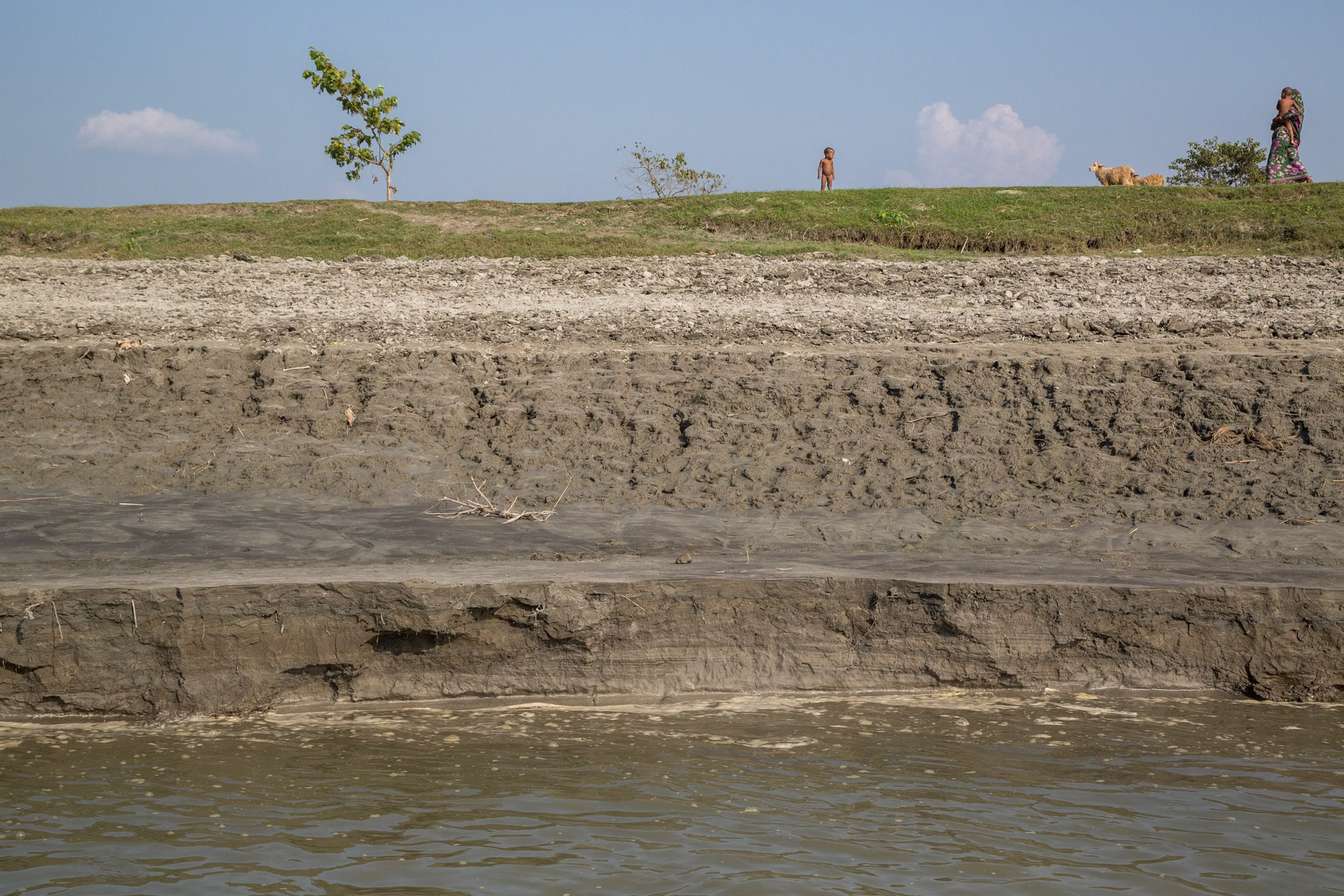 Eroding silt island, Chilmari chars, Bangladesh, October 2014