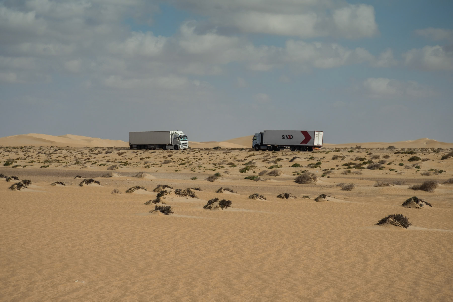 A desert road linking the port of Laayoune with Southern Morocco. Tarafaya road, Western Sahara, December 2018