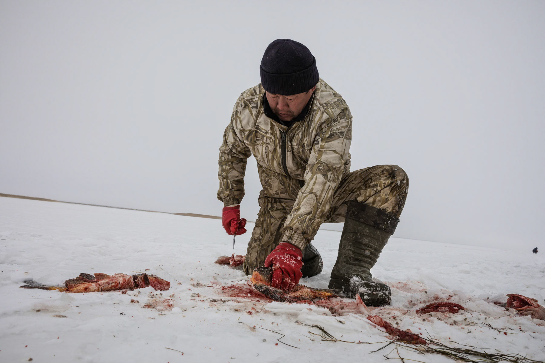 Cleaning a fresh catch before it gets frozen. At temperatures of minus 30C, the fish caught freezes instantly. Aral Sea, Kazakhstan, January 2019