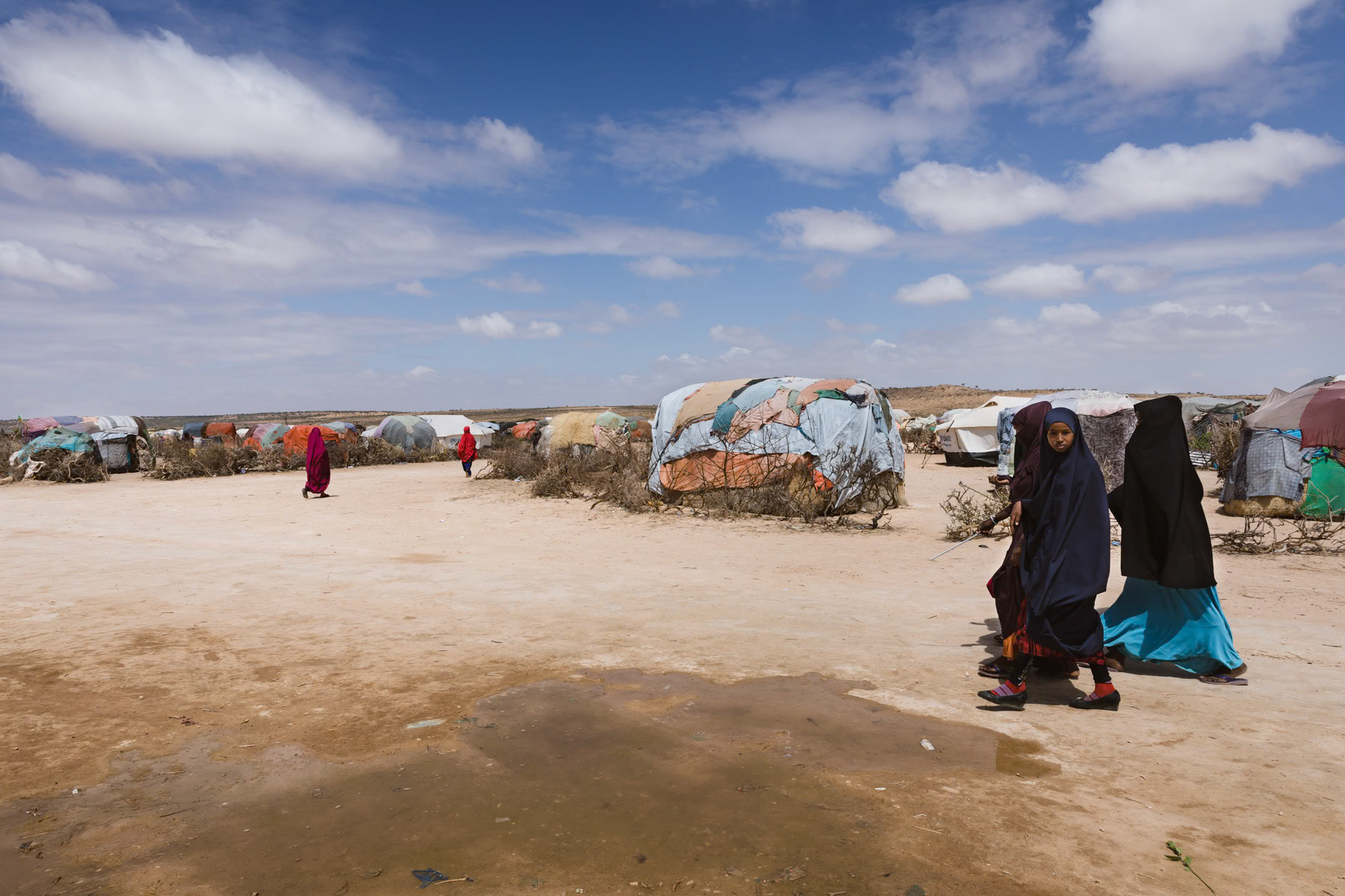 Aynabo camp for displaced pastoralists. With more than 10,000 IDPs, this is the largest camp for climate refugees in Somalia. Eastern Somaliland has been severely affected by consecutive droughts for the past 4 years and up to 80% of livestock has died, including camels. Aynabo in Saraar Region, Somaliland, October 2017