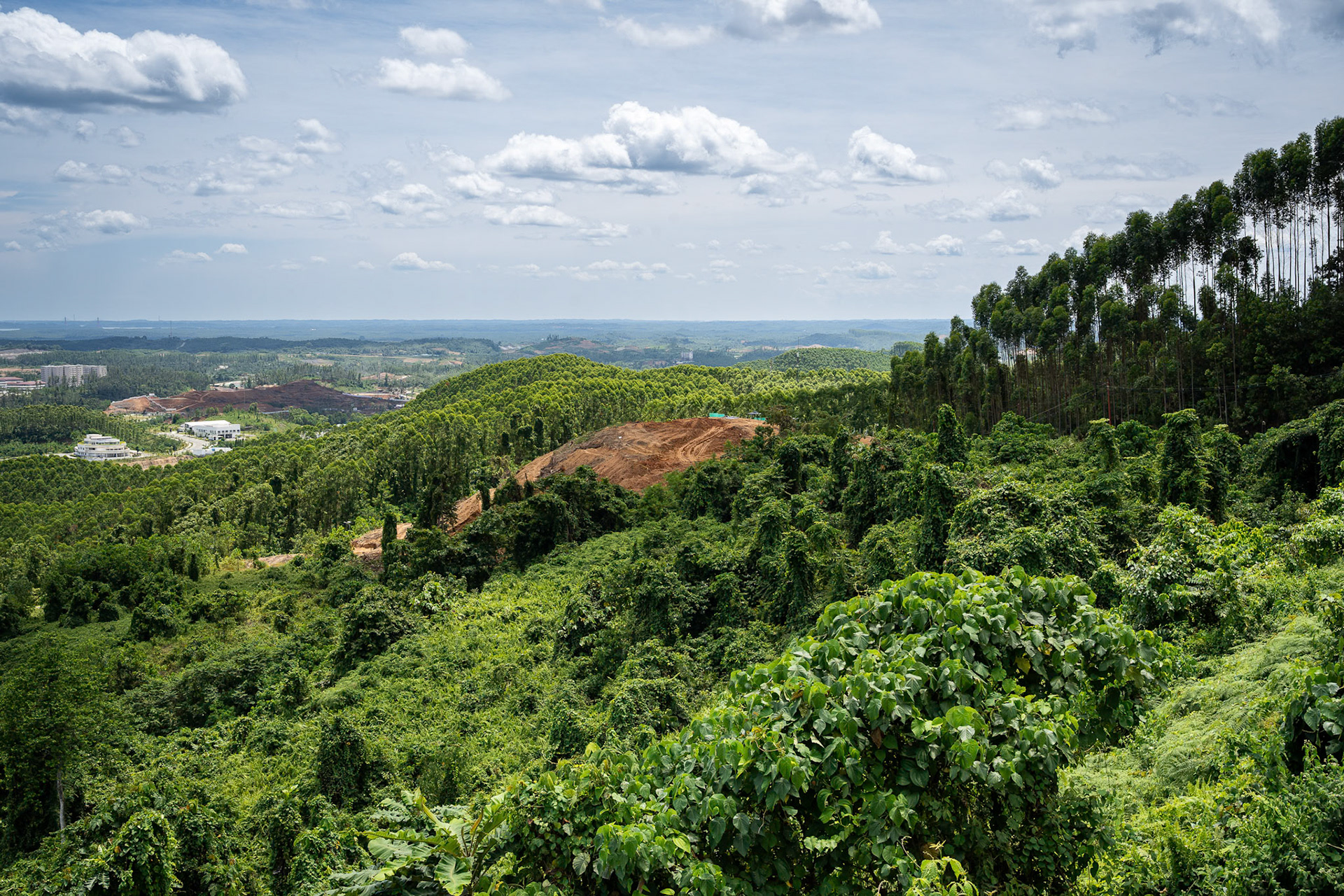 Witnessing the "slow-motion" phase of a mega-project. The initial momentum has been replaced by a cautious, quiet wait. Ibu Kota Nusantara (IKN), Borneo, Indonesia, January 2026