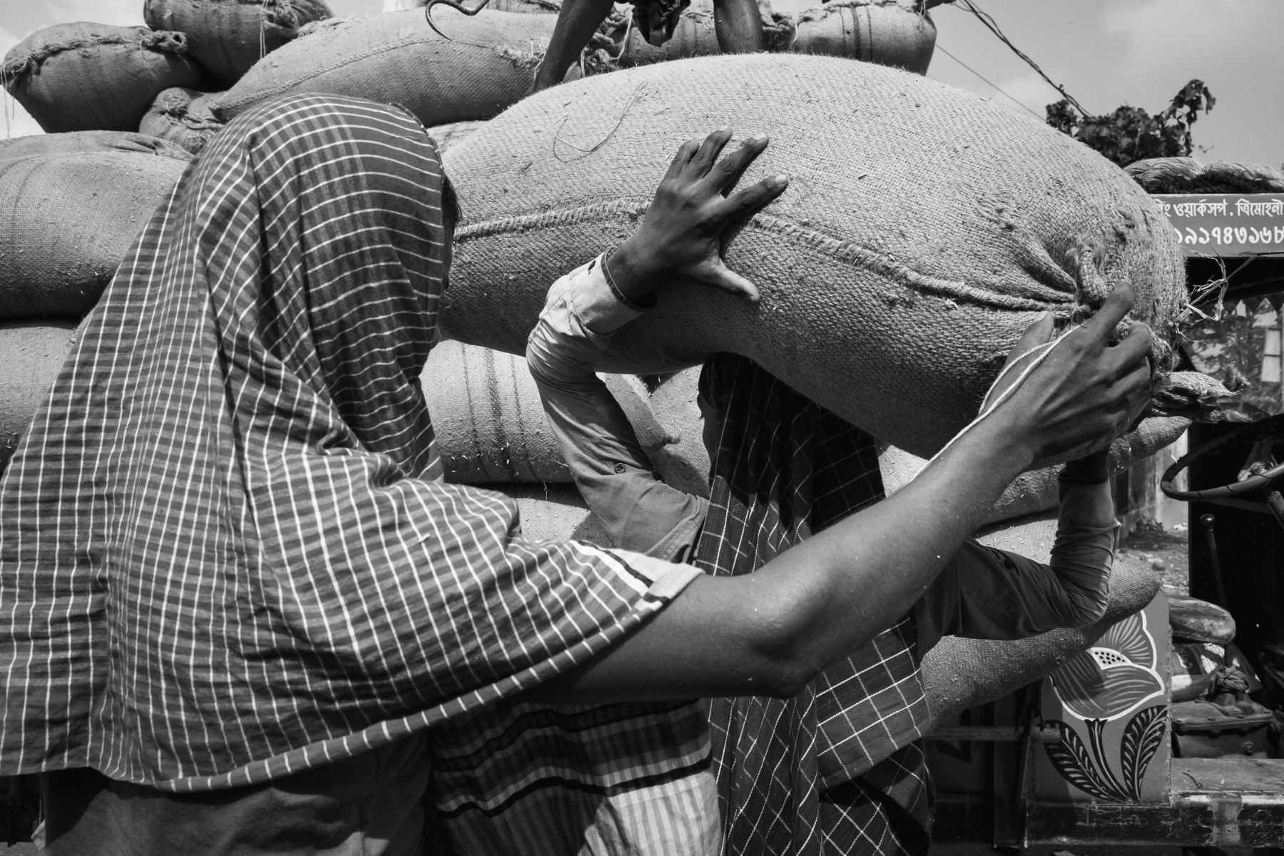 Unloading rice bags, Chalanbeel chars in Pabna district, Bangladesh, October 2014