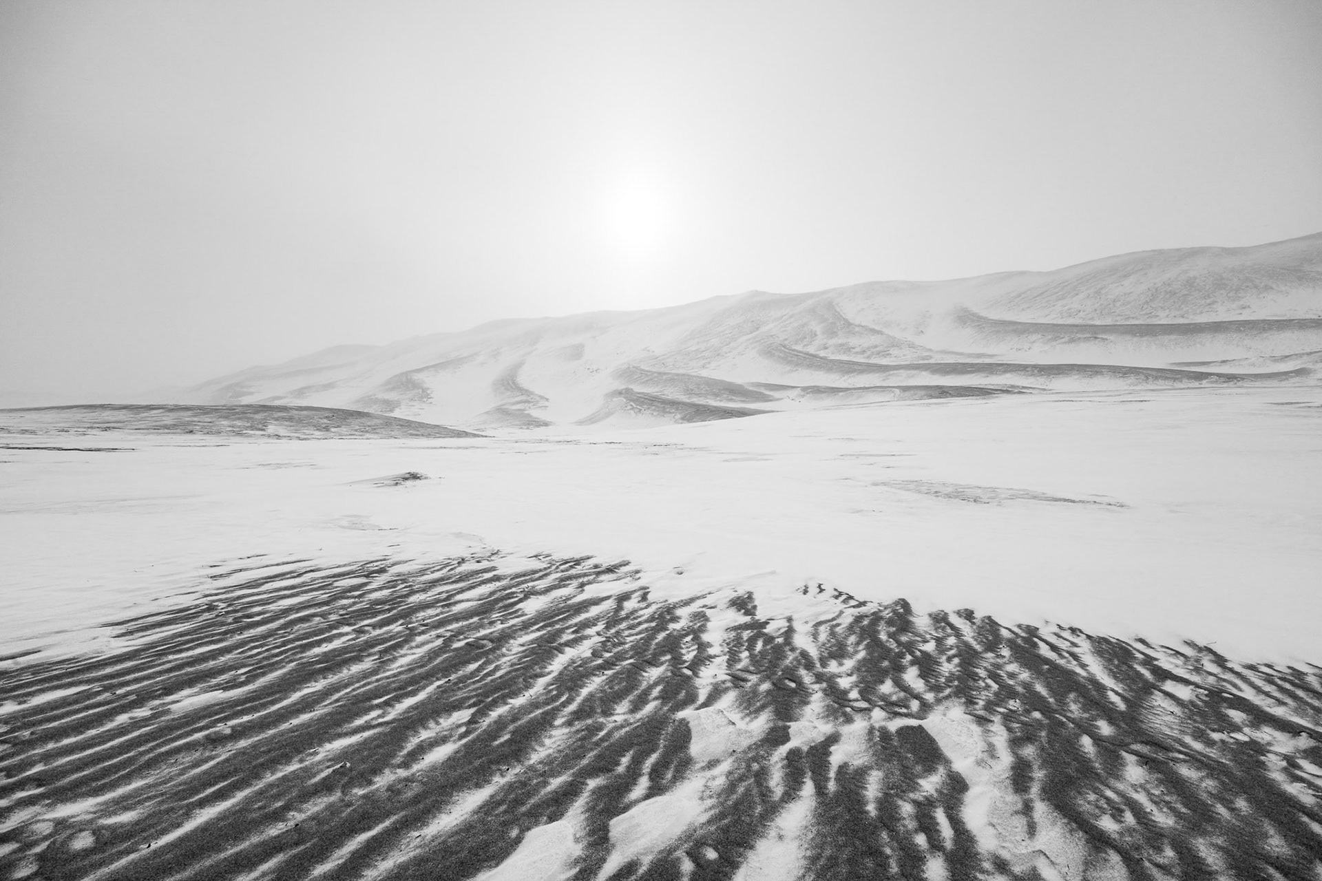 The Khongor Sand Dunes, one of the world's highest dune systems, now a frontline for encroaching desertification. Gobi desert, Mongolia, December 2025