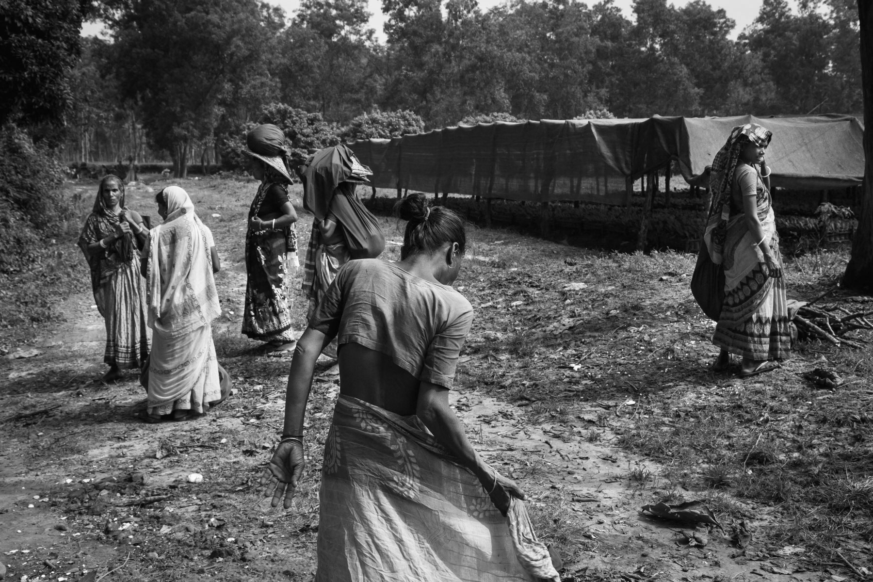 Tea workers in Bangladesh are mainly women from the Hindu minority and usually live in villages within the tea estates, Srimangal, October 2014