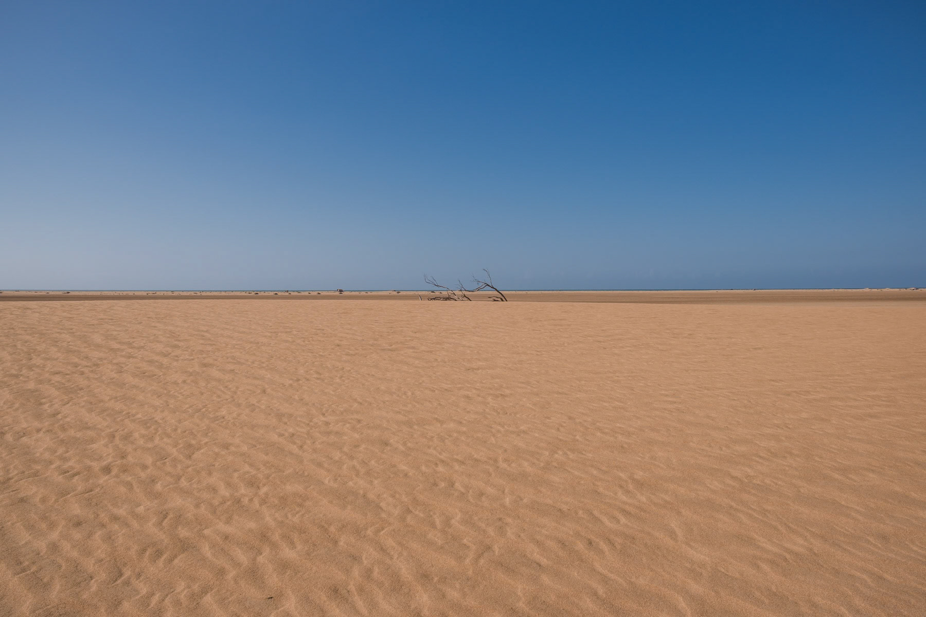 Desert and Ocean are the unique elements of the Western Sahara, both providing large resources of minerals and fish that are being exploited at an ever increasing rate. Northern part of the Western Sahara, December 2018
