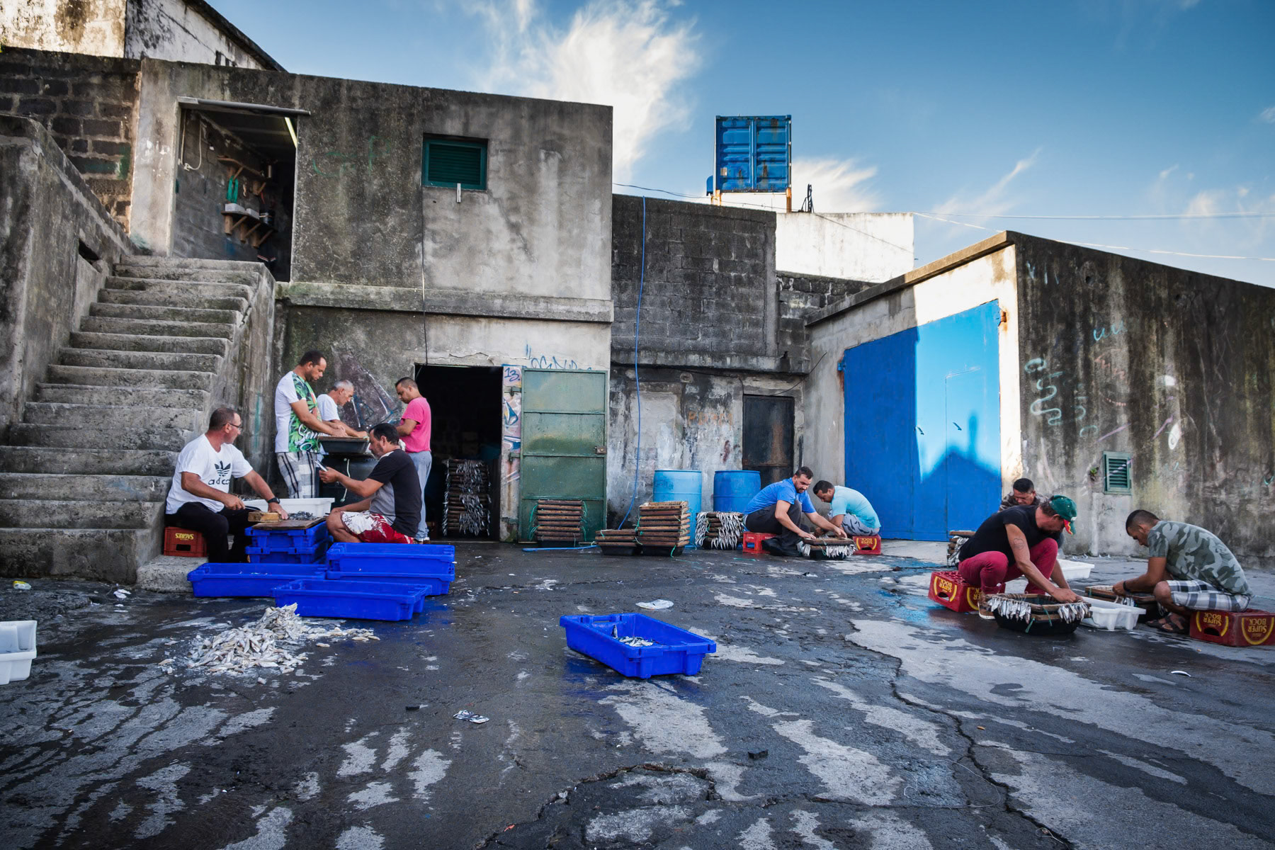 Preparing bait for the fishing lines. Rabo de Peixe, Azores, September 2018