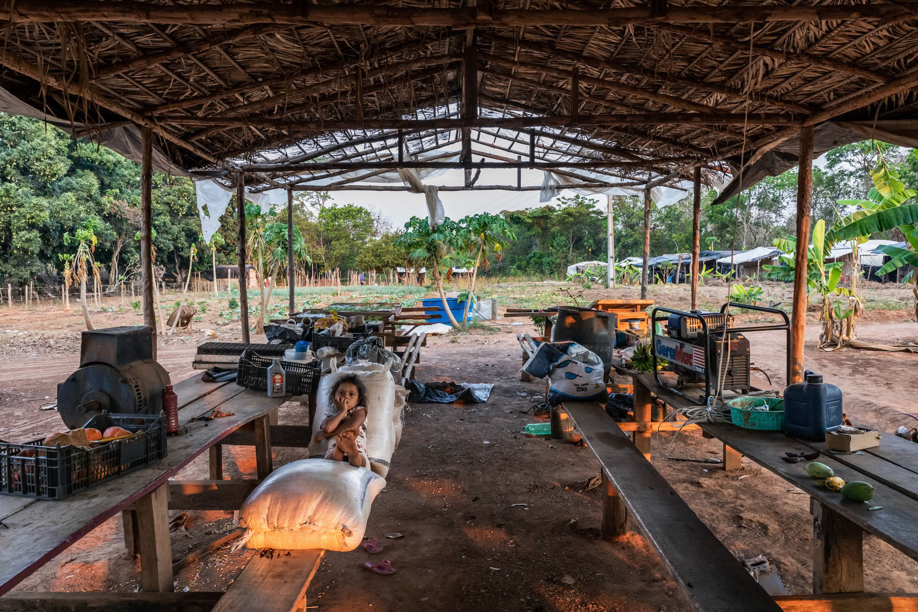 A small vegetable and fruit cooperative consiting a few families working and living together on site. Unfortunately they do not have clear land use rights and could be expelled at any time to make place for the larger agriibusiness lobby. Nortelândia, Mato Grosso, Brazil, September 2020