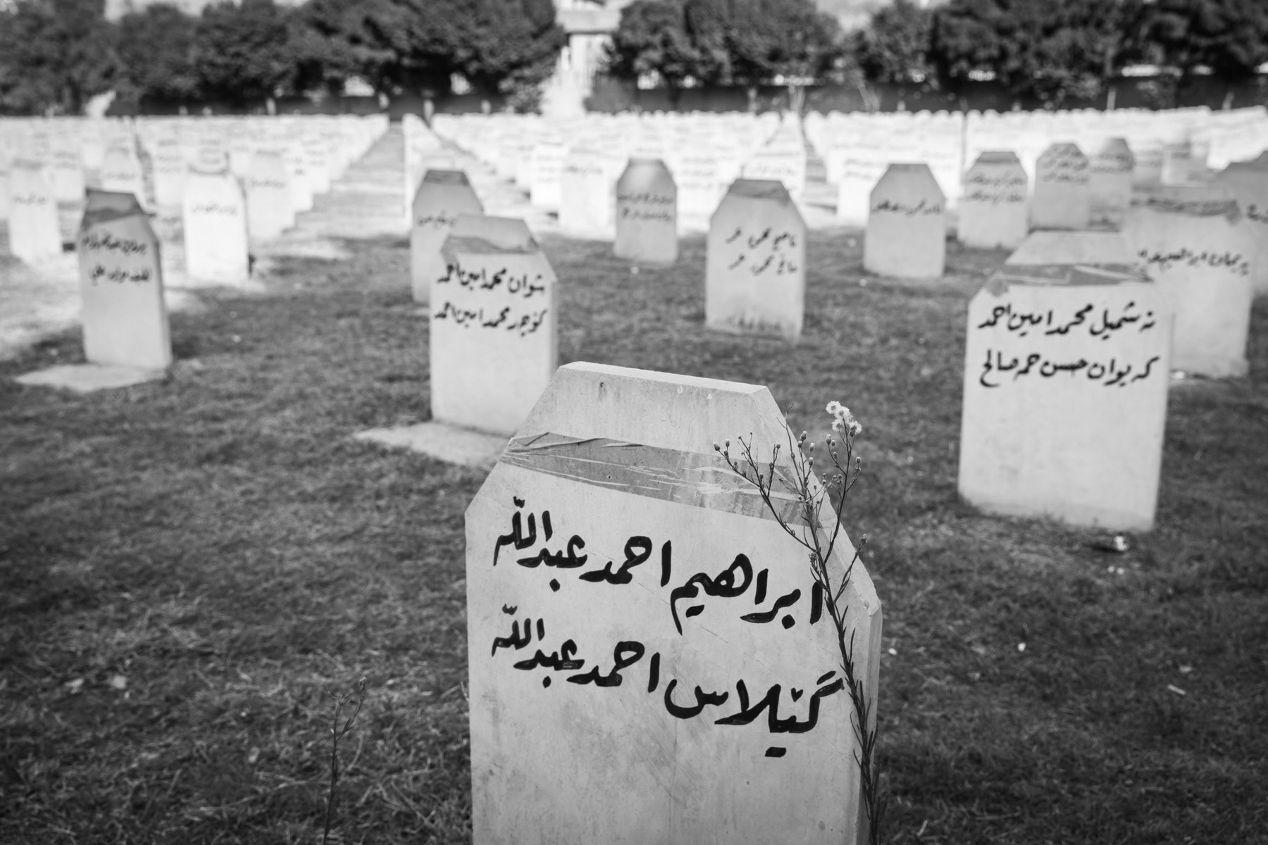16 March 1988, more than 450 chemical shells were dropped by Saddam Hussein over Halabja in Iraqi Kurdistan killing 5,000 Kurdish civilians and injuring another 10,000 most of which would die in the years to follow. The survivors were evacuated to Iran in the aftermath and returned to northern Iraq after the first Gulf War in 1991. Today, 475 victims still live in the city of Halabja in the autonomious Region of Iraqi Kurdistan. They face severe health and psychological problems since the attack, such as severe repiratory problems requiring oxygen breathers, systematic eye and sight problems, fertility issues for those affected as children, high rates of miscarriage and serious mental health issues. With inadequate health services available, most patients can only hope to be sponsered and be sent to Iran for specialized treatment. Main graveyard and mass graves for the victims of the Halabja chemical weapons attack, Iraqi Kurdistan, Iraq, August 2018