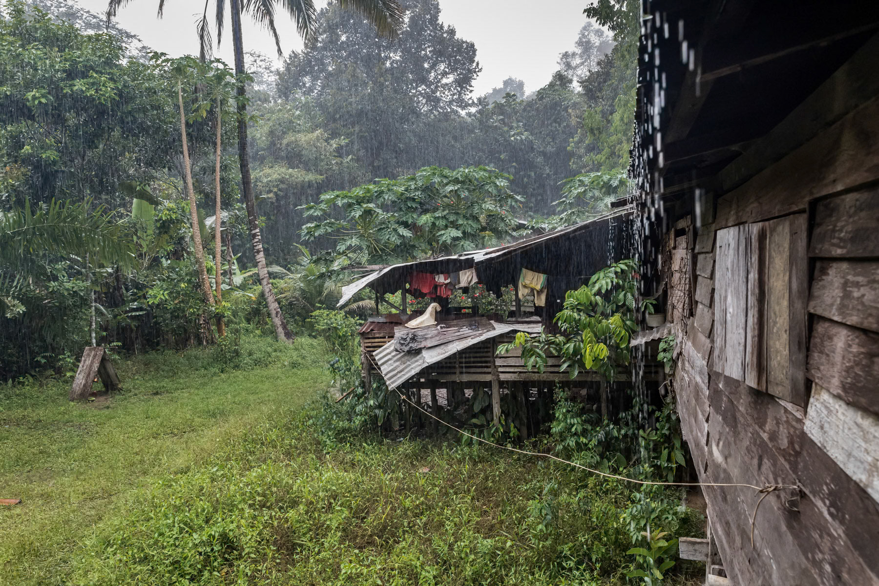 Typical long house deep in the rainforest where several men from the Orang Ulu will stay several days while hunting and collecting tropical fruit like Durian. Sarawak, Malaysian Borneo, February 2020