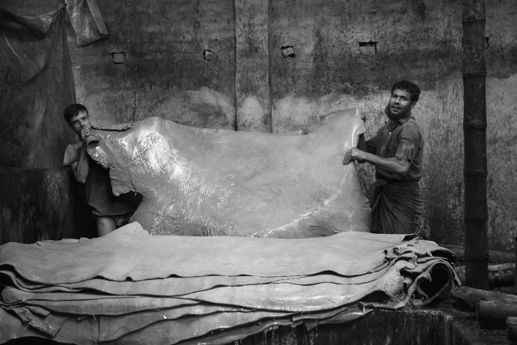 Soaking skins in a chemical mixture to soften them, Hazaribagh tanneries, Bangladesh, October 2014