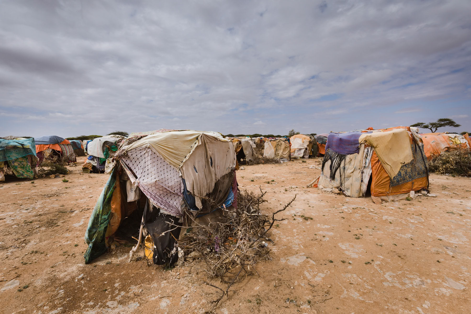 Wadamago makeshift camp for displaced persons by the drought. The eastern parts of Somaliland have been severely affected by 4 years of drought and up to 80% of livestock has perished endangering the pastoralist way of subsistance. Aynabo district, Somaliland, October 2017