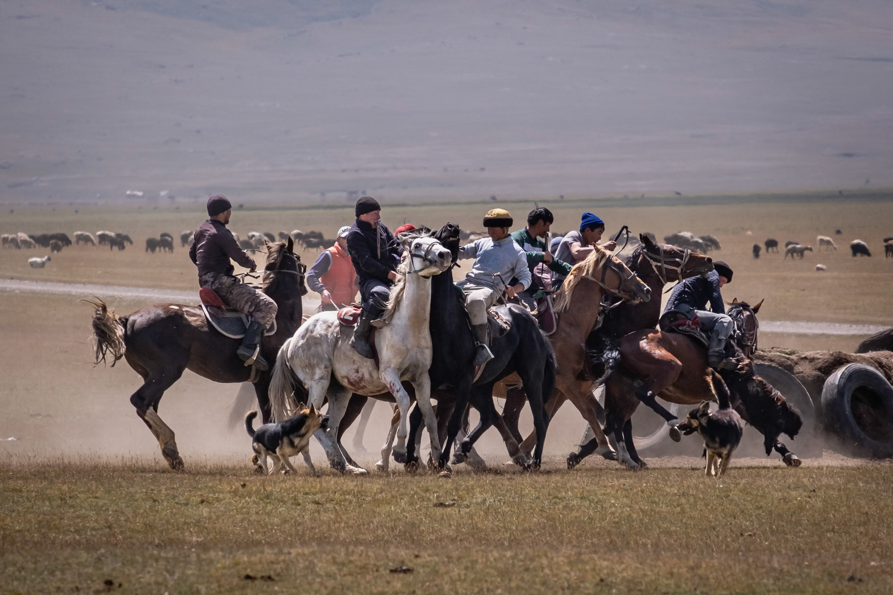 Two teams fighting to take possession of the 'ulak' during a Kok Boru game. The 'ulak' consists of a goat's carcass and needs to be dropped in the opponents' goal in order to mark a point. Son Kul Lake, Kyrgyzstan, August 2021