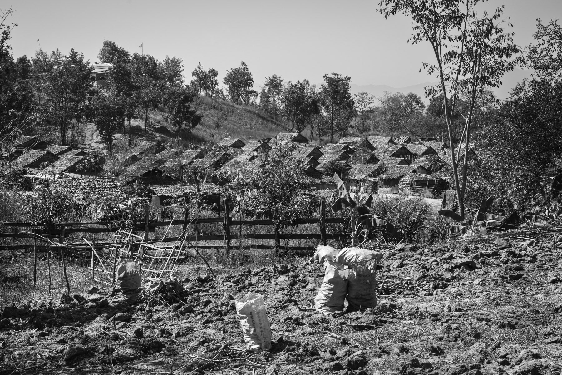 Lae Gho IDP camp in Kayin State. More than 3 million people have been displaced by the war in Myanmar, January 2024