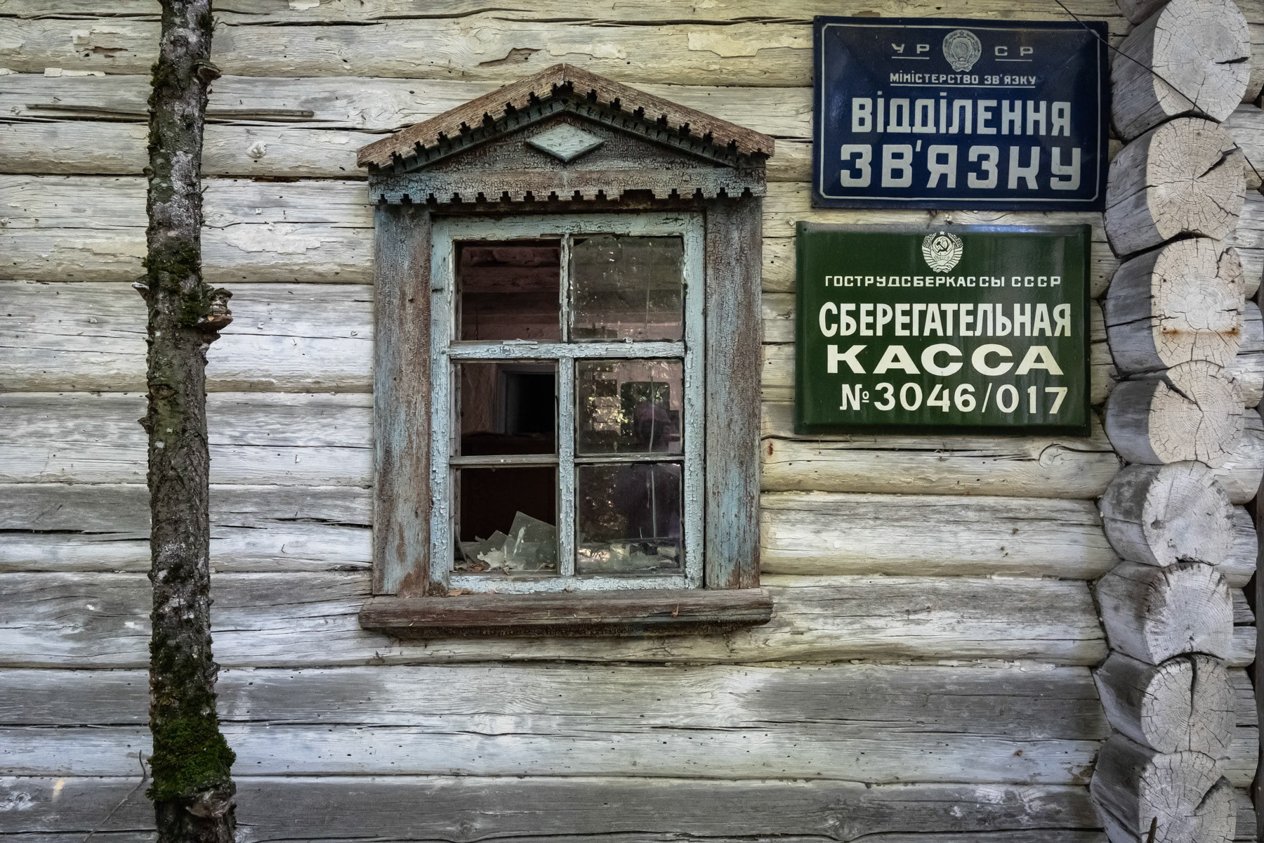 Bank in an evacuated and abandonned village of the Chernobyl exclusion zone. The village is in a highly contaminated area where no people are allowed to live, not even self settlers originally from the village. Krasno, Ukraine, September 2021