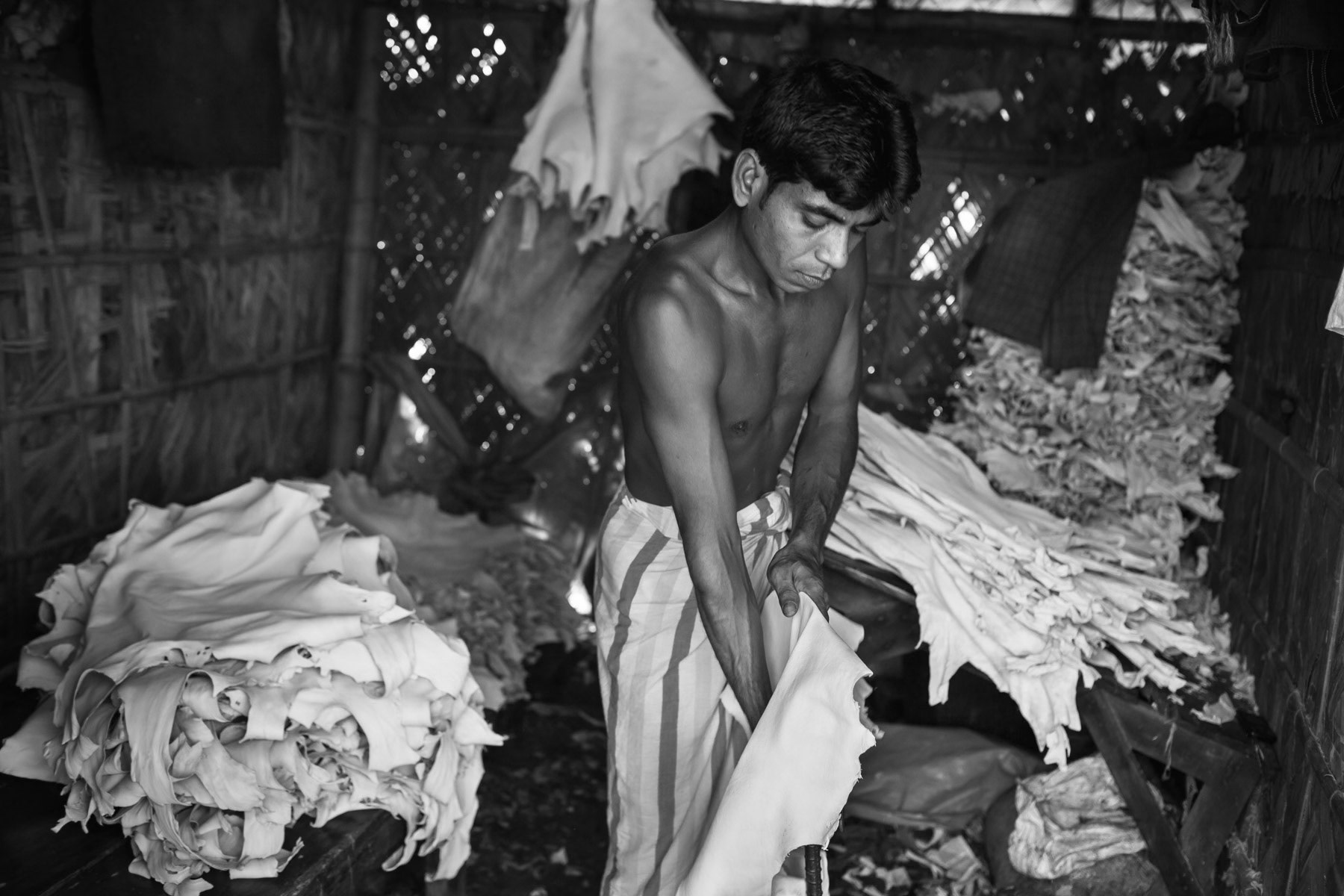 Soft leather after the tanning process, Hazaribagh, Dhaka, October 2014