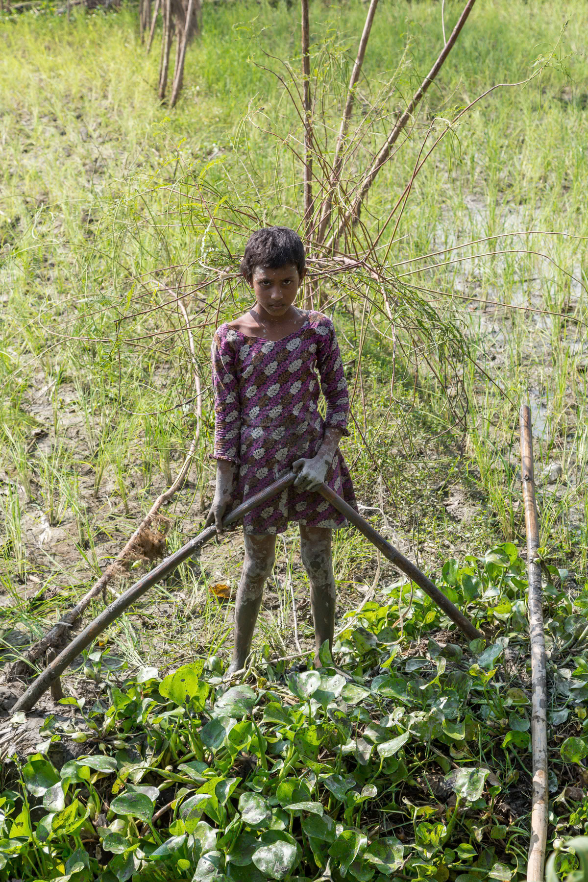 Girl living on Bhati char, Jamuna river, district of Bogra, Bangladesh, October 2014
