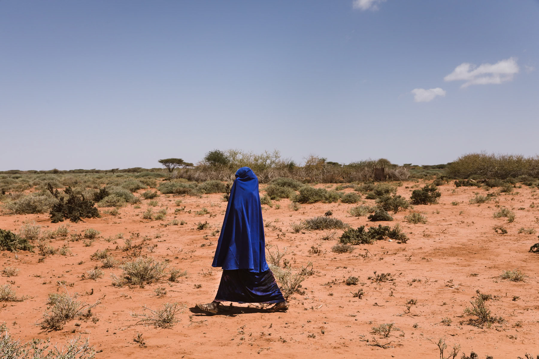 A Somali climate refugee walking back to the camp for IDPs. Warabeye in Togdheer district, Somaliland, October 2017