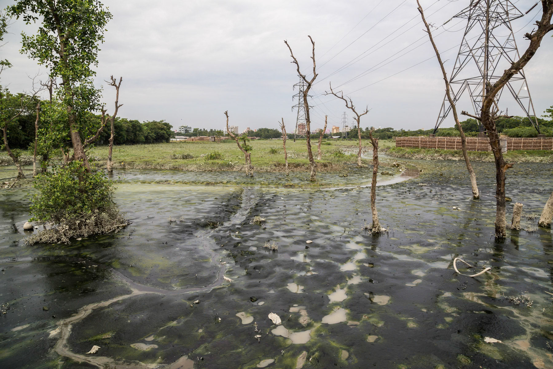 Heavily contaminated soil due to a complete lack of industrial waste treatment, Chattagong char, Bangladesh, October 2014