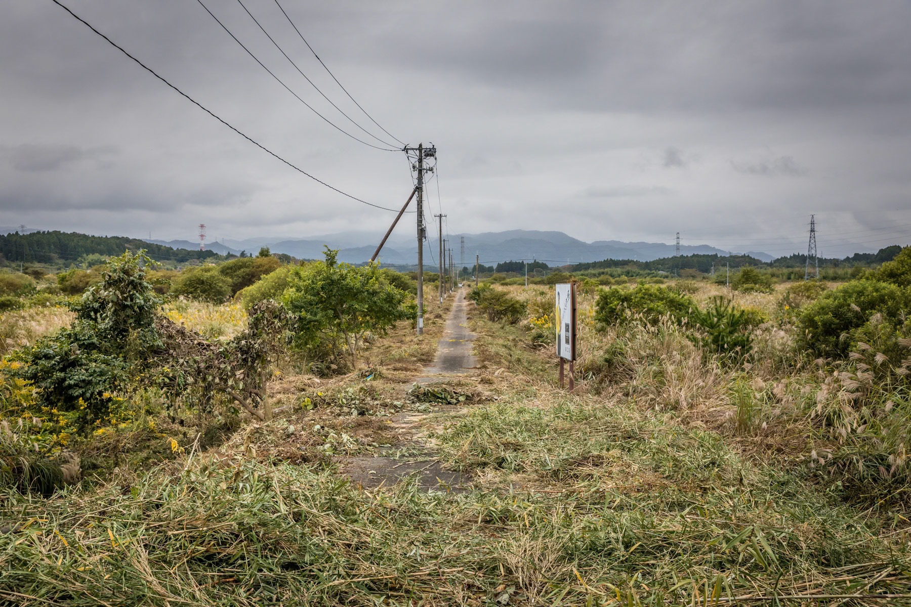 Waste lands along Route 6 that passes through the most affected and contaminated area around the Daichi nuclear power plant. Okuma-Namie road, Fukushima Prefecture, Japan, October 2019