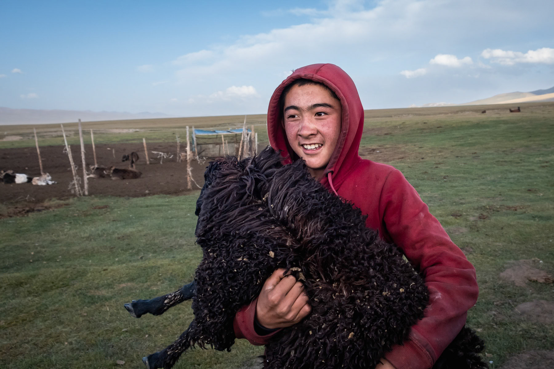 Shepherd carrying a black sheep, Son Kul Lake, Kyrgyzstan, August 2021