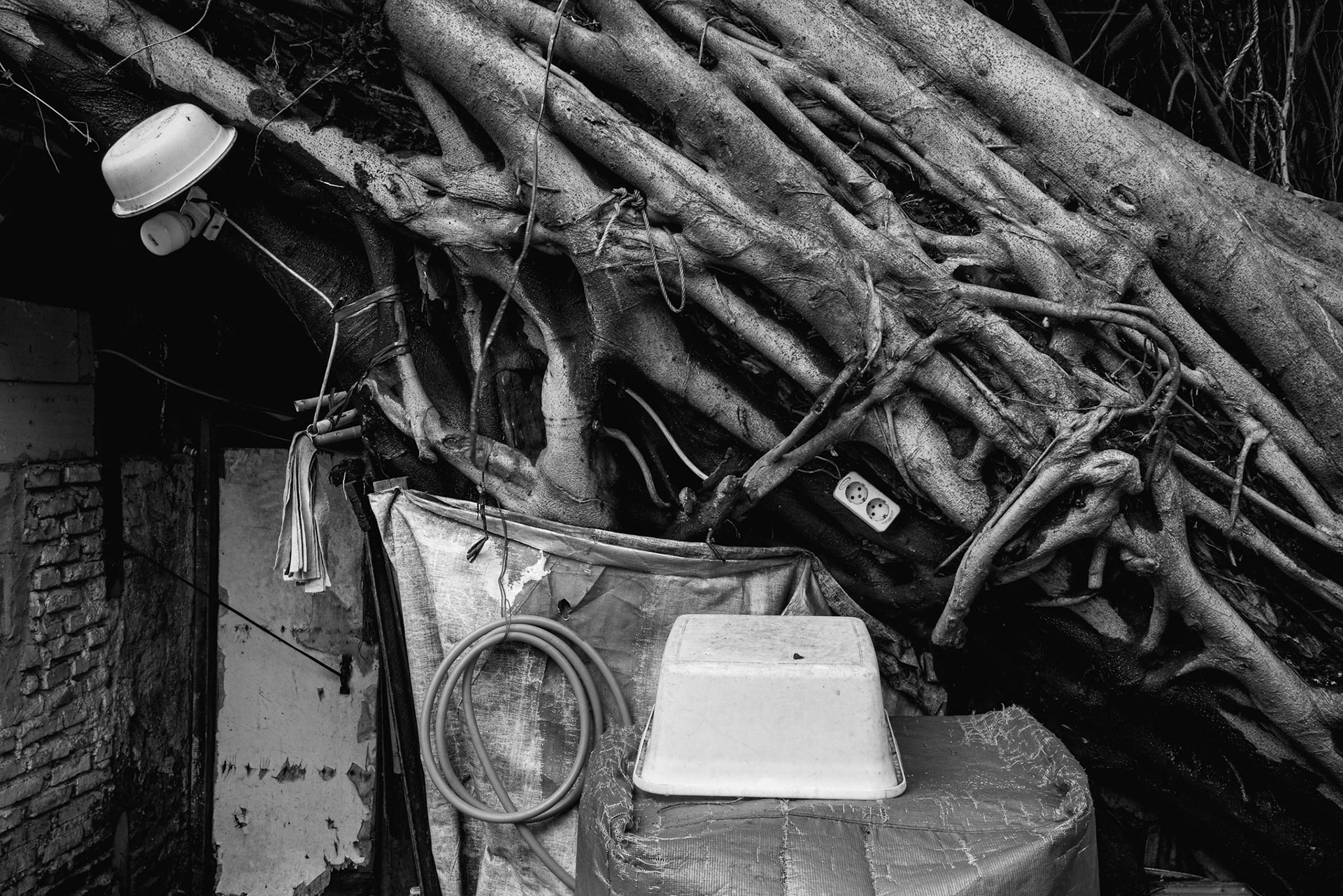 Urban sprawl has choked out the coastal wetlands. The disappearance of this "green wall" has turned a manageable tidal cycle into a permanent flooding crisis. Jakarta, January 2026