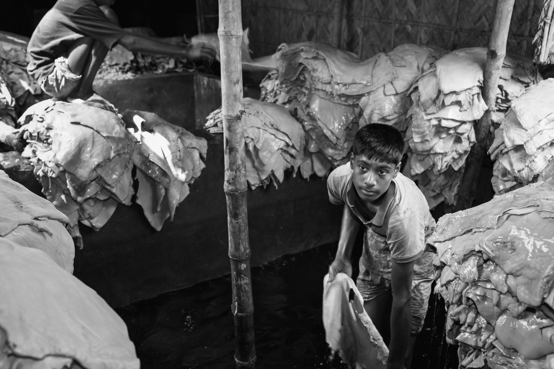 Removing skins from the chemical baths, Hazaribagh tanneries in Dhaka, Bangladesh, October 2014