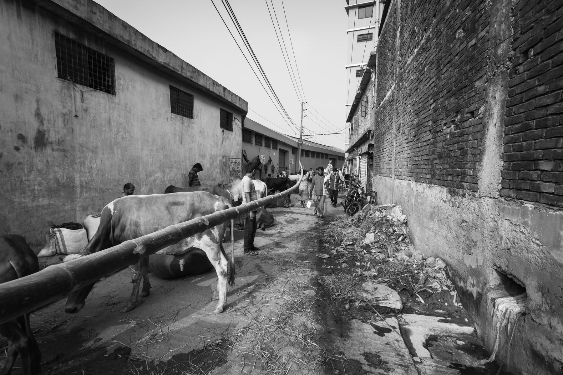 Street in Hazaribagh where contaminated waste water from a tannery has free passage to adjacent canals and ultimately to the Buriganga river, one of Dhaka's key water source. Hazaribagh, Bangladesh, October 2014