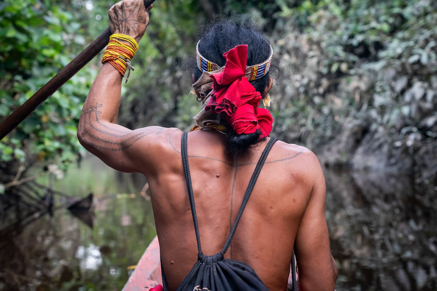 Finding a way through the dense rainforest using the water ways during the rainy season. Mentawai islands, West Sumatra, Indonesia, December 2024