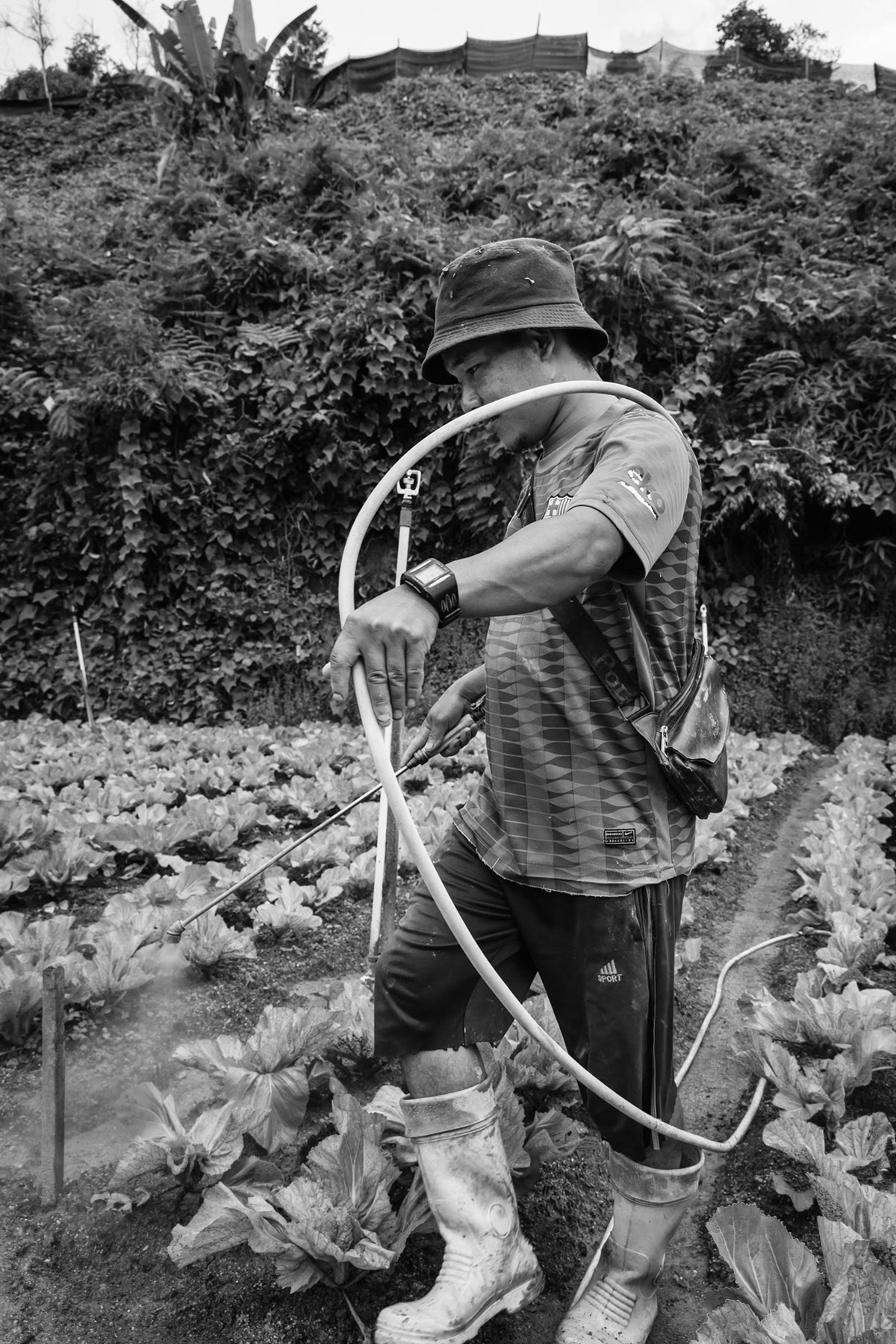 A farm worker from the Chin community in Kampung Raja, working up to 12 hours a day and earning a very low salary and at risk of being arrested for working while being a refugee. Cameron Heighlands in Pahang, Malaysia, May 2024