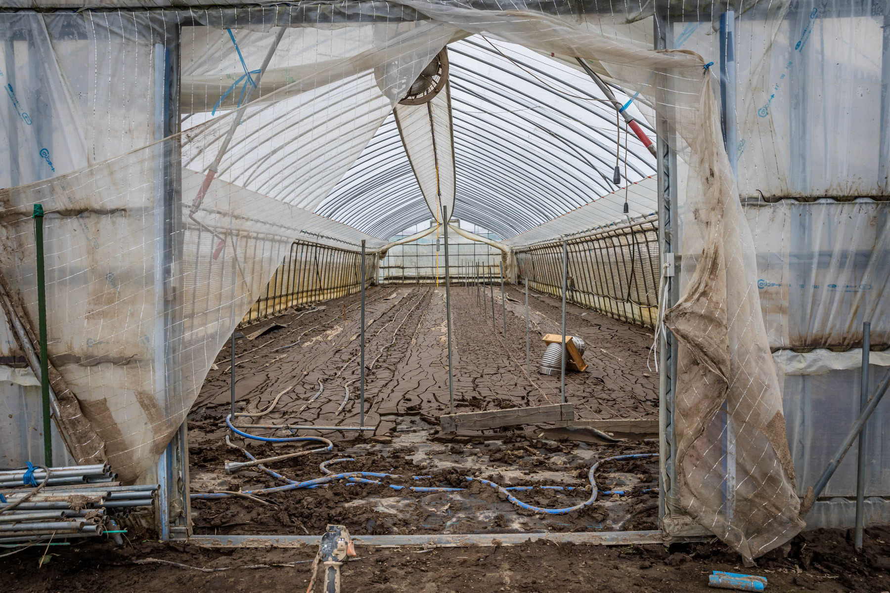 Greenhouse farm in Naimi as part of efforts to attrackt people to return to the town. The green houses and plantations have been partly destroyed after the passage of typhoon Hagibis a week earlier. Japan is frequently affected by earthquakes, tsunami and typhoons, challanging seriously the continuation of operating nuclear power plants in such areas. Namie, Fukushima Prefecture, Japan, October 2019